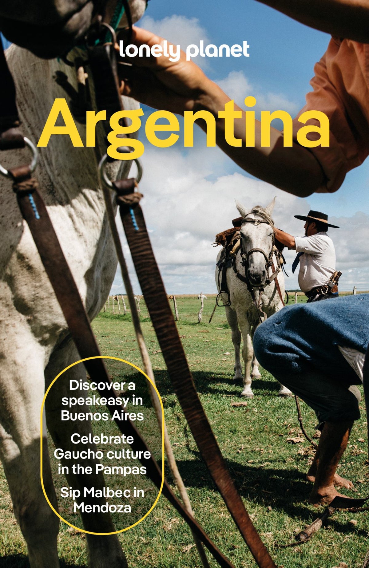 Lonely Planet Argentina Cover Image