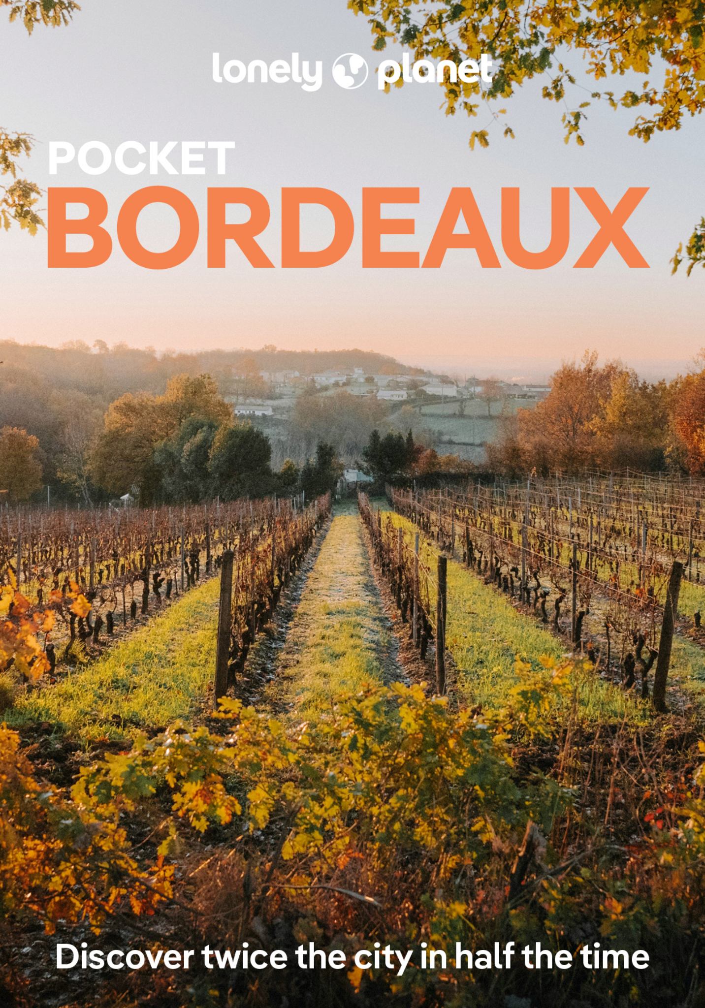 Lonely Planet Pocket Bordeaux Cover Image