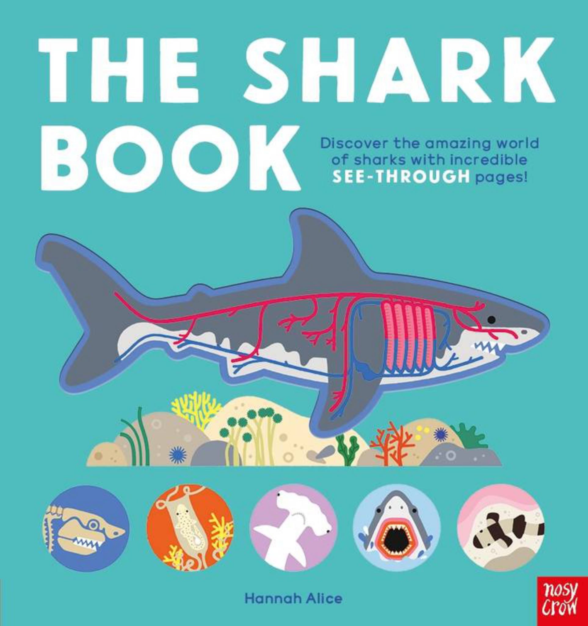 The Shark Book Cover Image