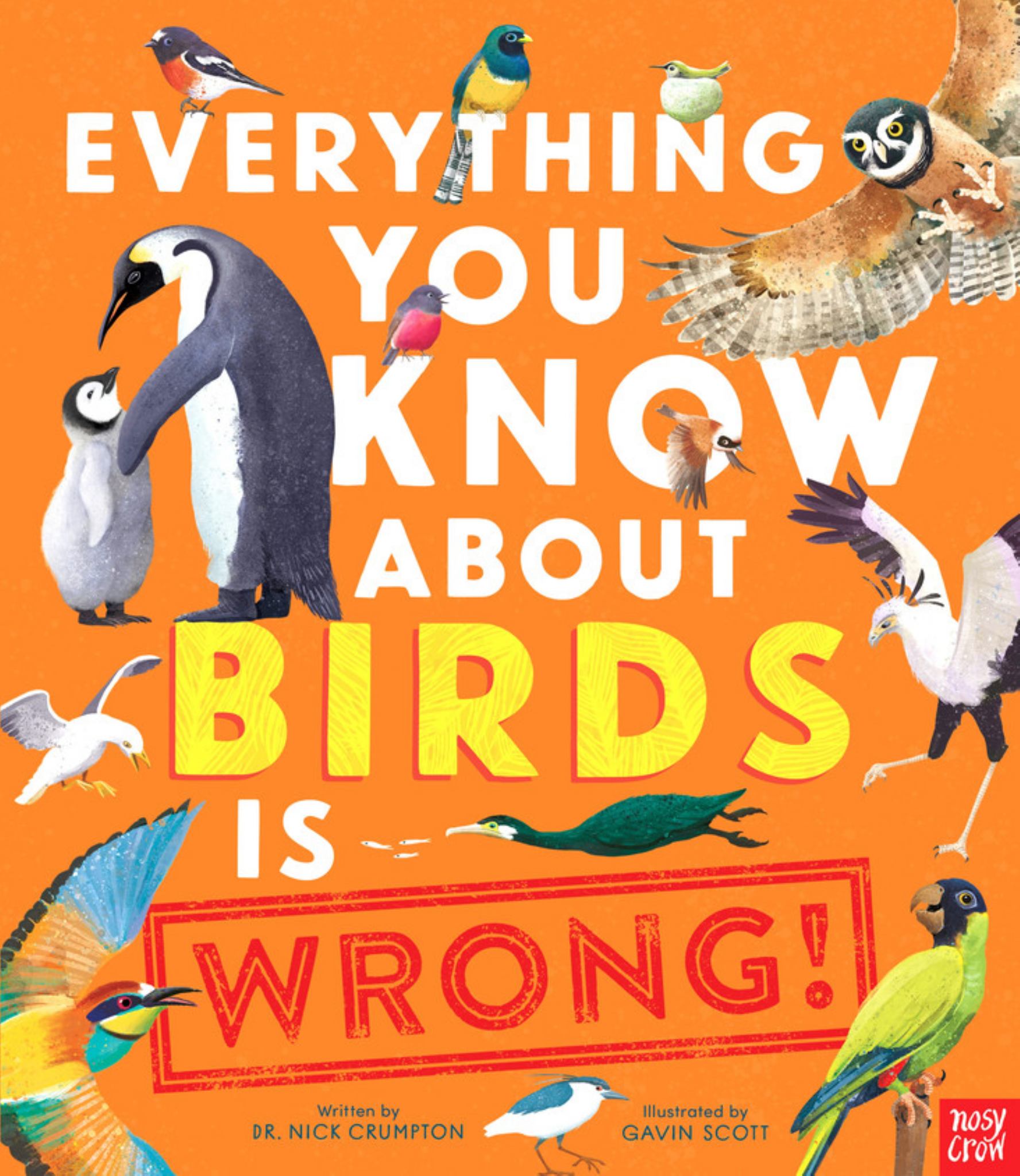 Everything You Know about Birds Is Wrong! Cover Image