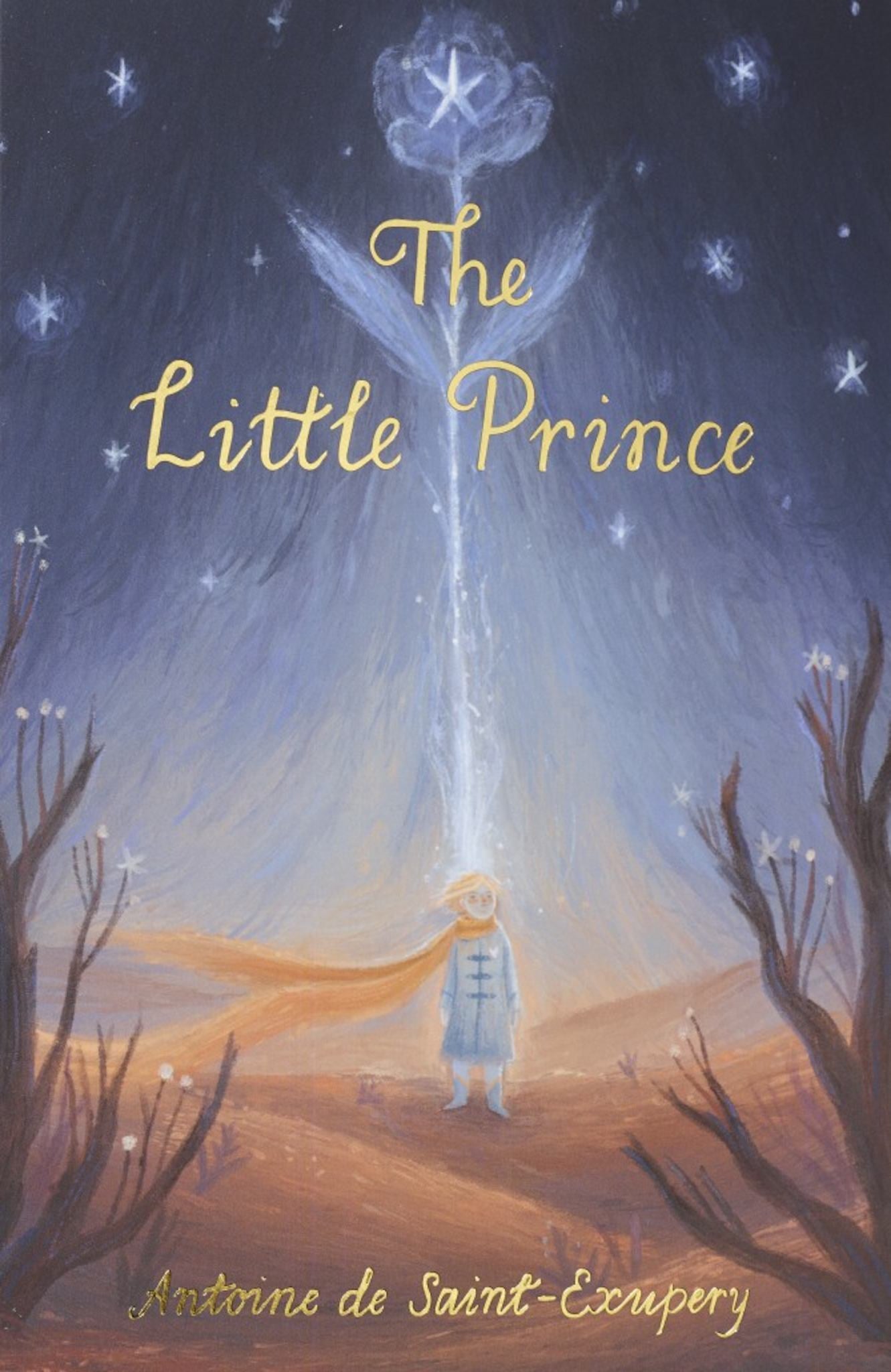 The Little Prince Cover Image