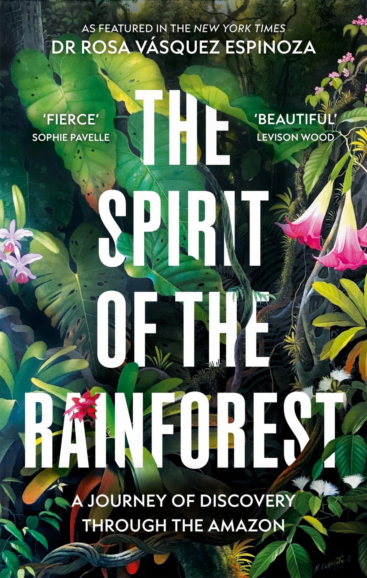 The Spirit of the Rainforest Cover Image