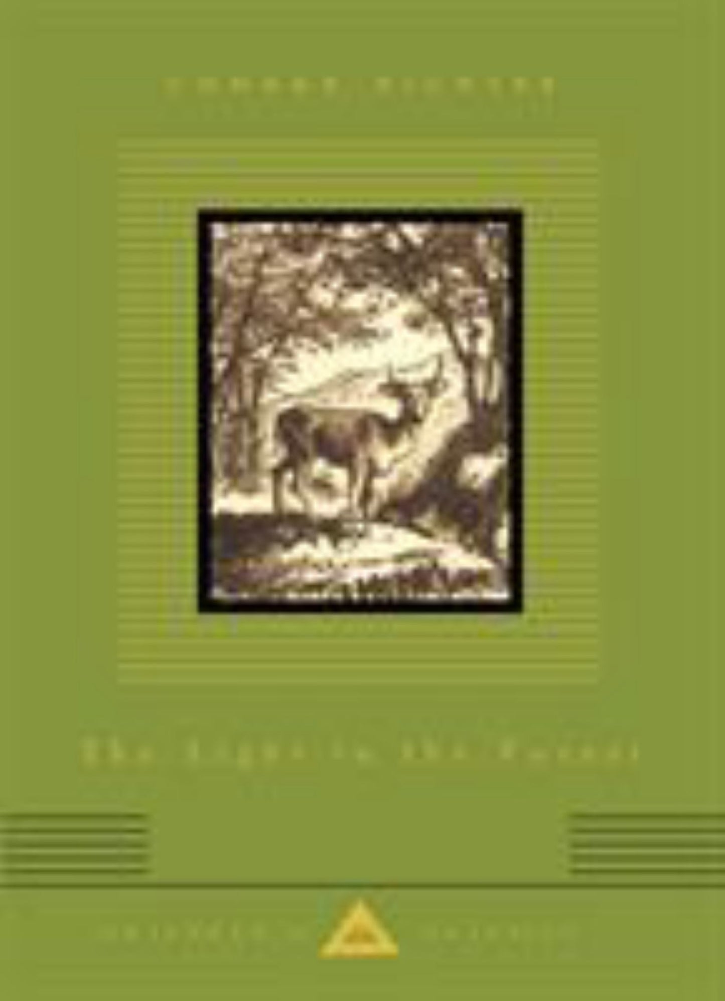 The Light in the Forest Cover Image