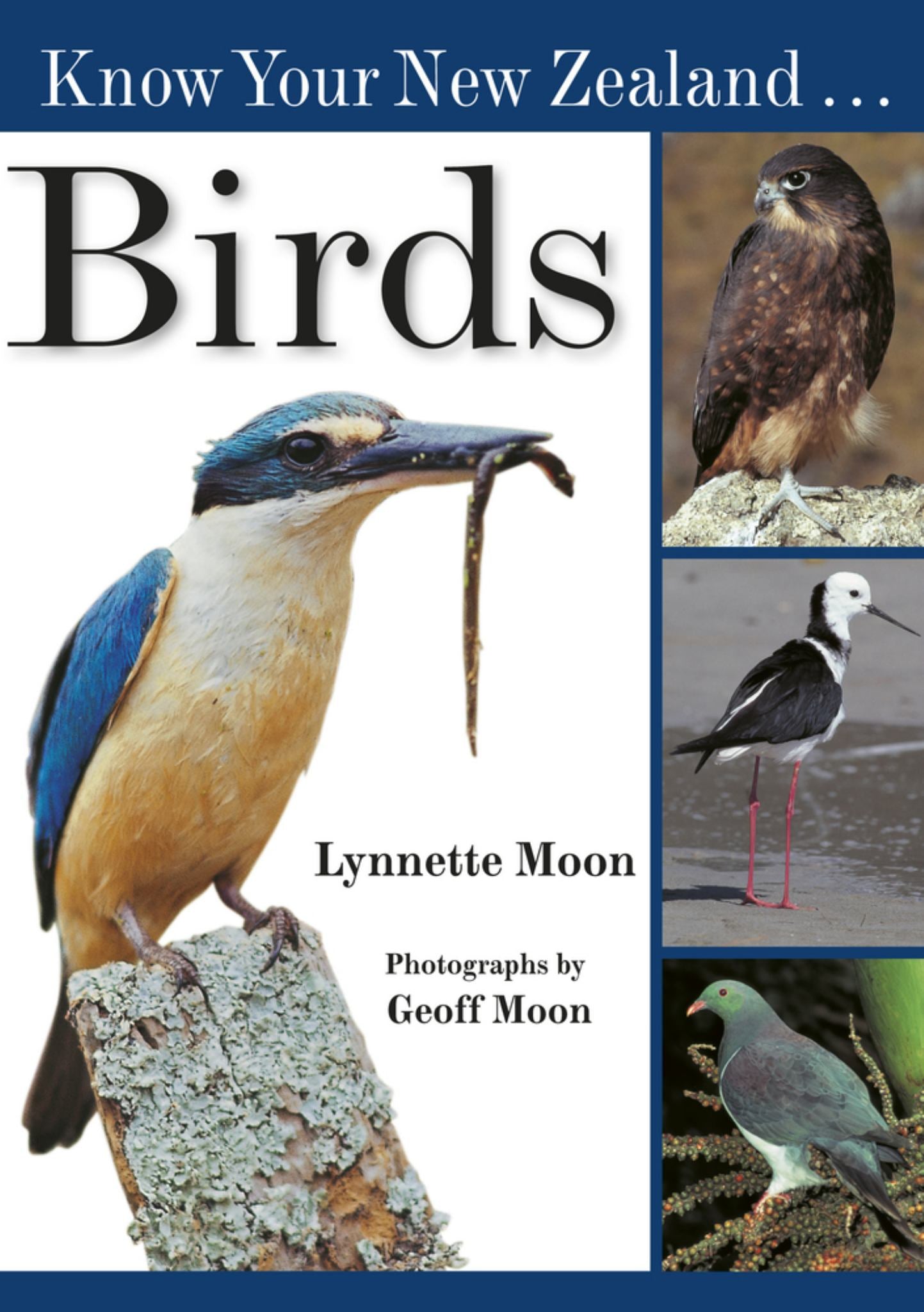 Know Your New Zealand Birds Cover Image