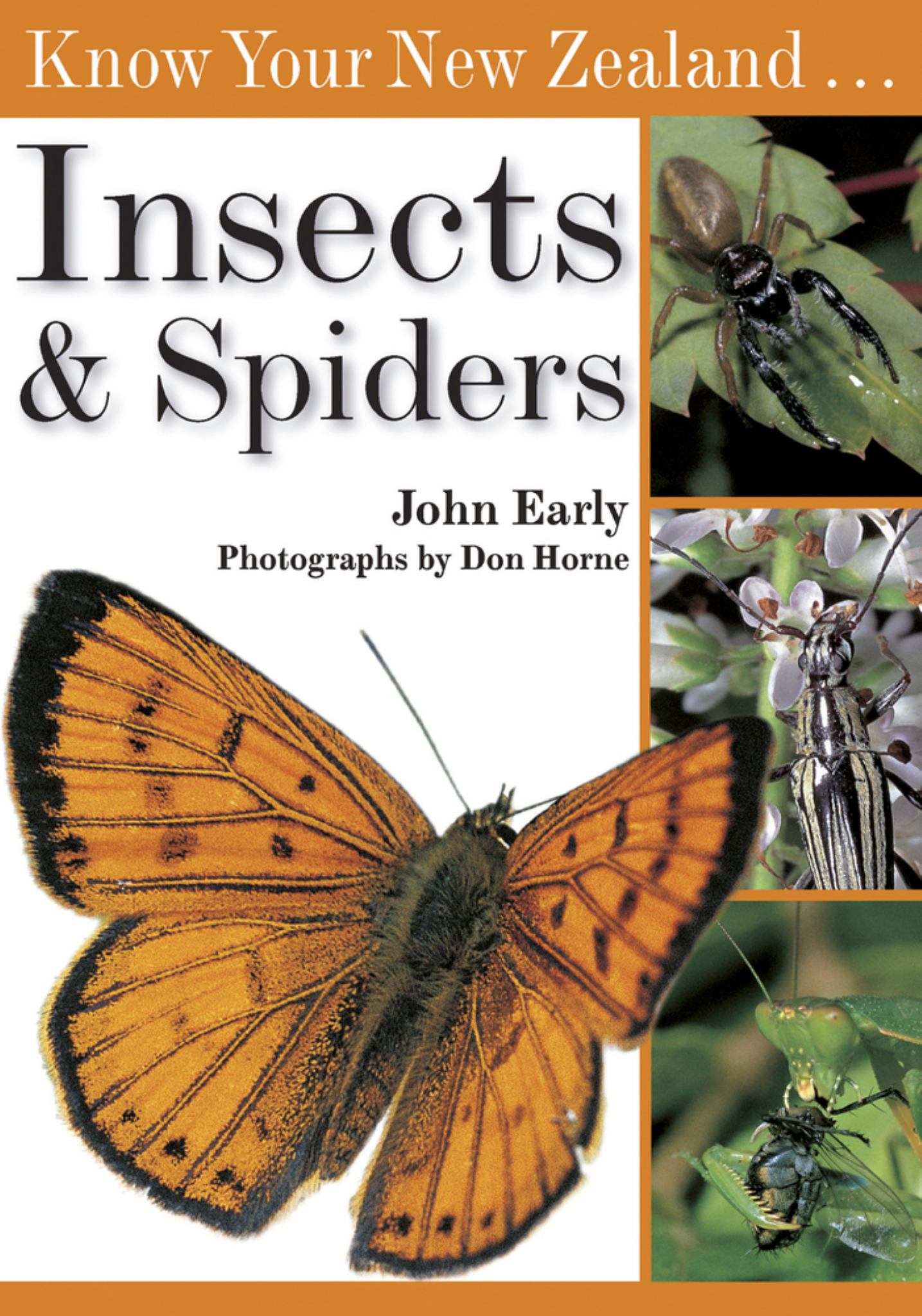 Know Your New Zealand Insects and Spiders Cover Image