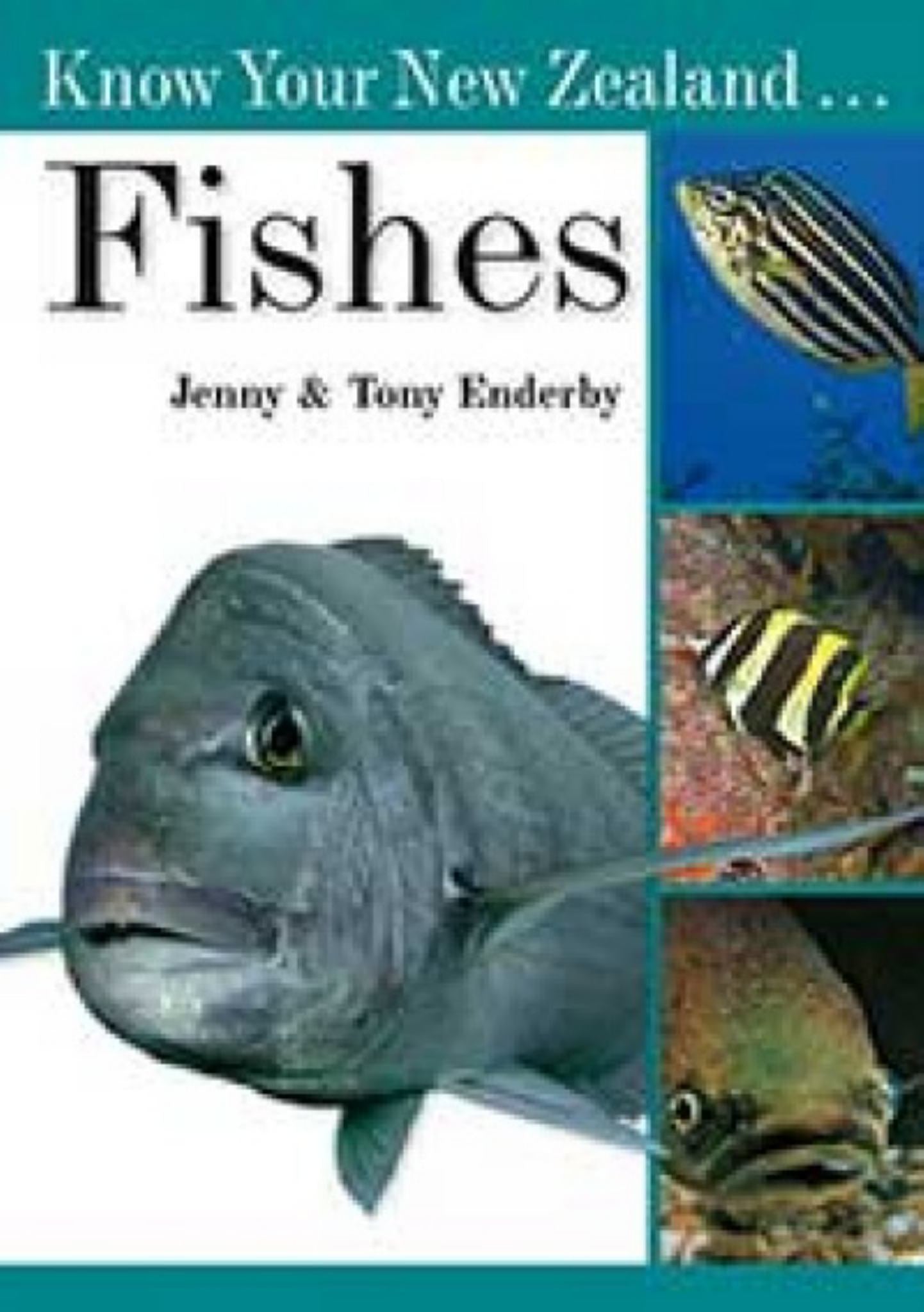 Know Your New Zealand Fishes Cover Image