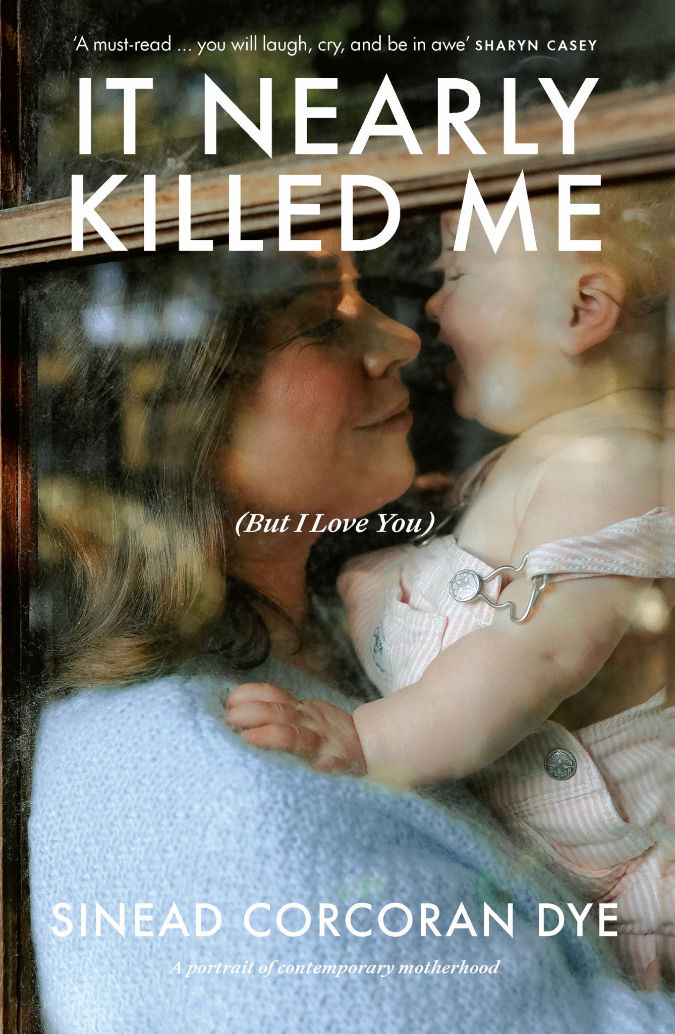 It Nearly Killed Me but I Love You Cover Image