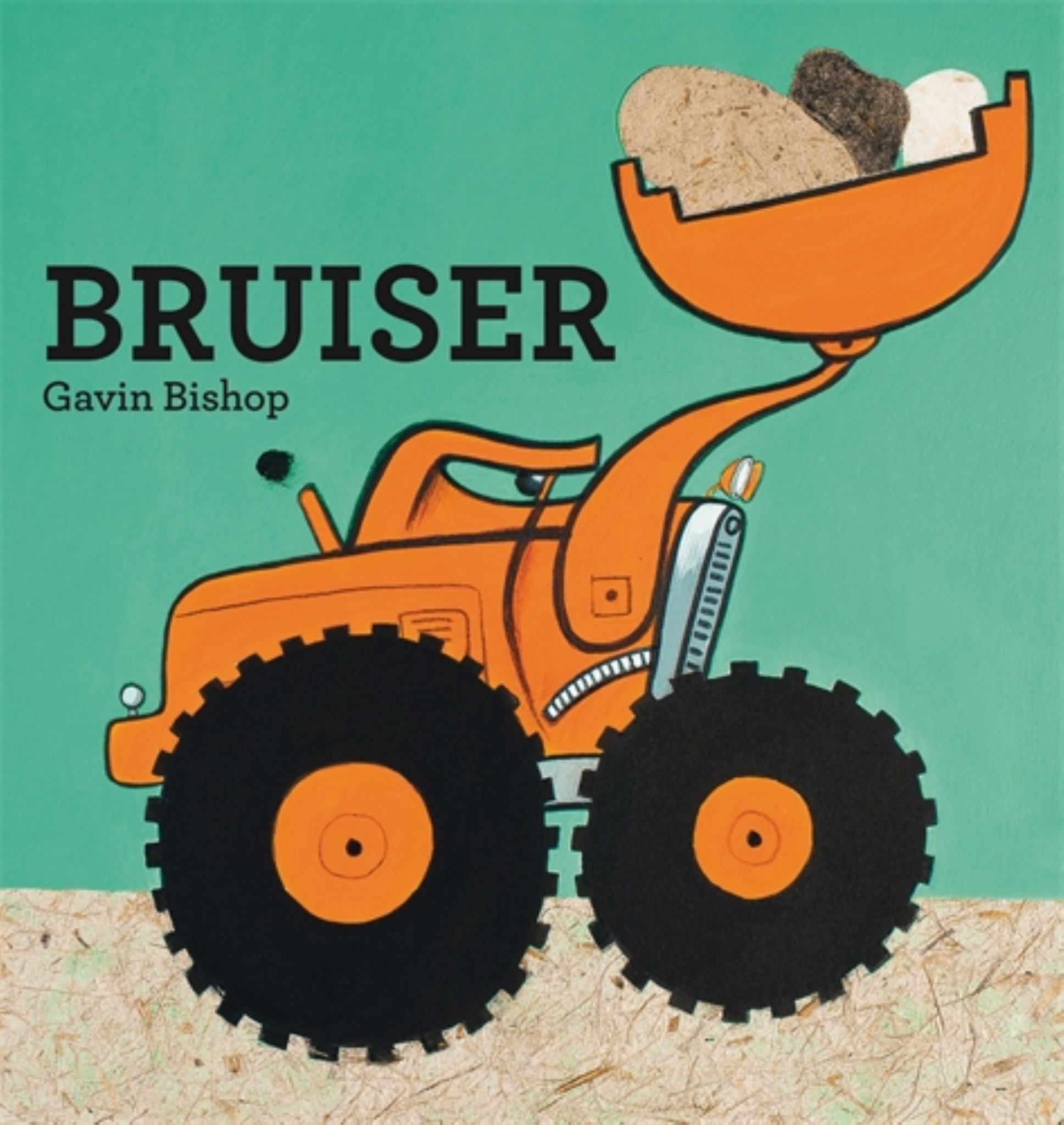 Bruiser Cover Image