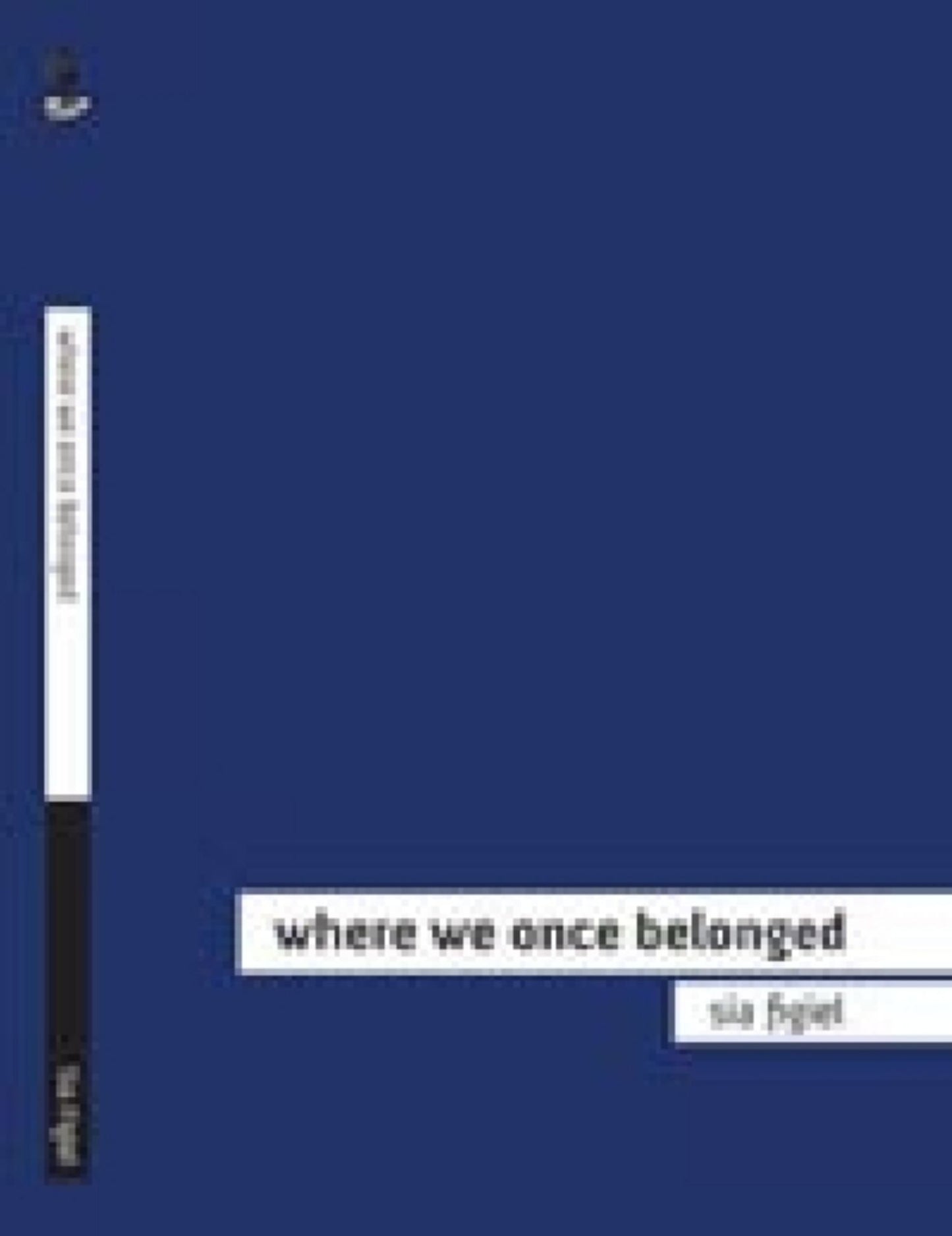 Where We Once Belonged Cover Image