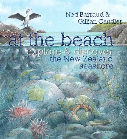 At the Beach PB Cover Image