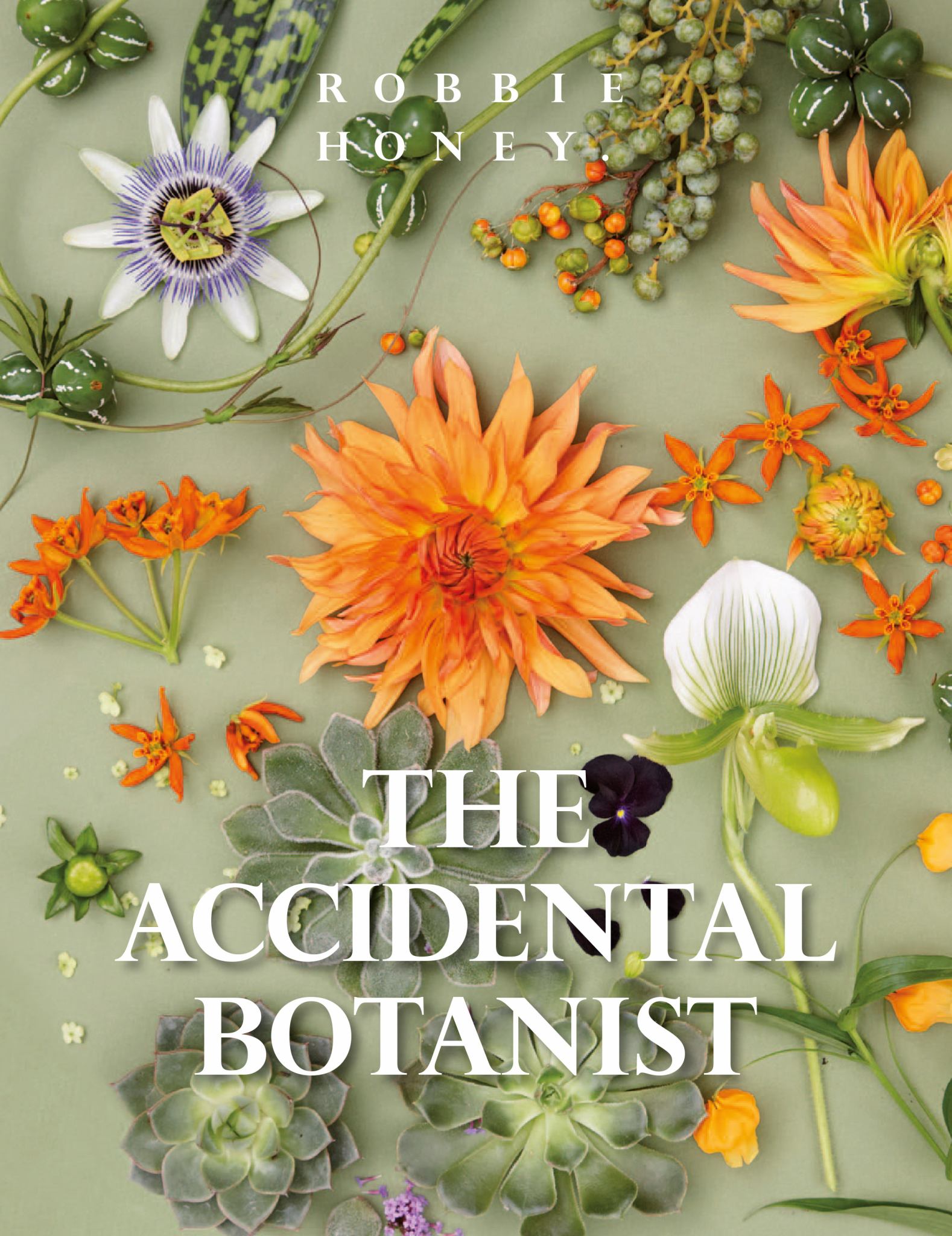 The Accidental Botanist Cover Image