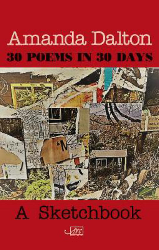30 Poems in 30 Days Cover Image