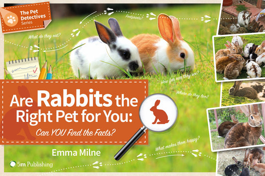 Are Rabbits the Right Pet for You Cover Image