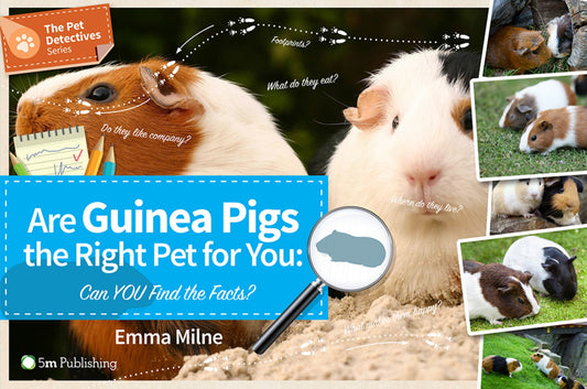 Are Guinea Pigs the Right Pet for You Cover Image