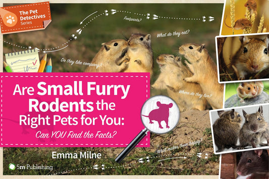 Are Small Furry Rodents the Right Pet for You Cover Image