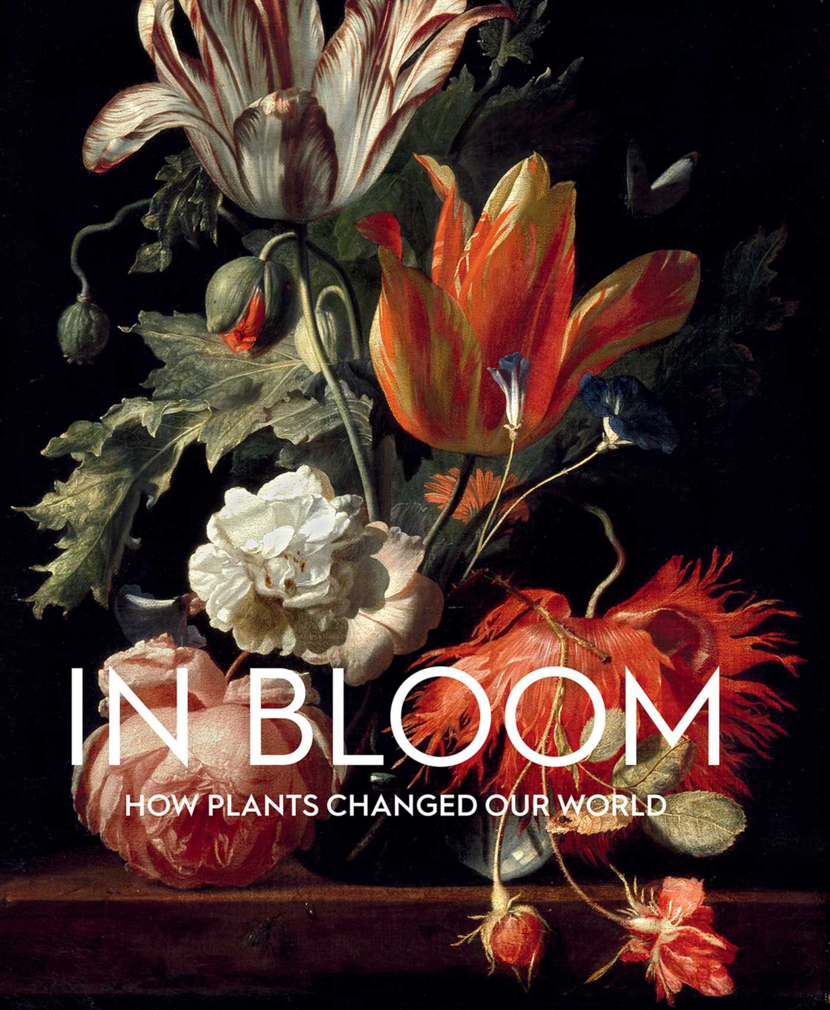 In Bloom Cover Image
