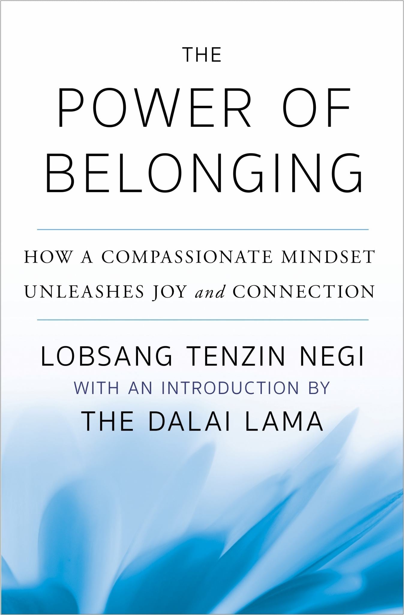 The Power of Belonging Cover Image