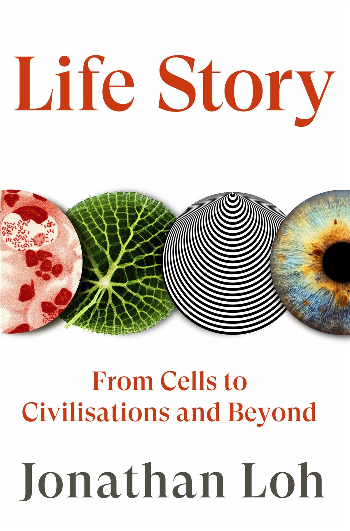 Life Story Cover Image