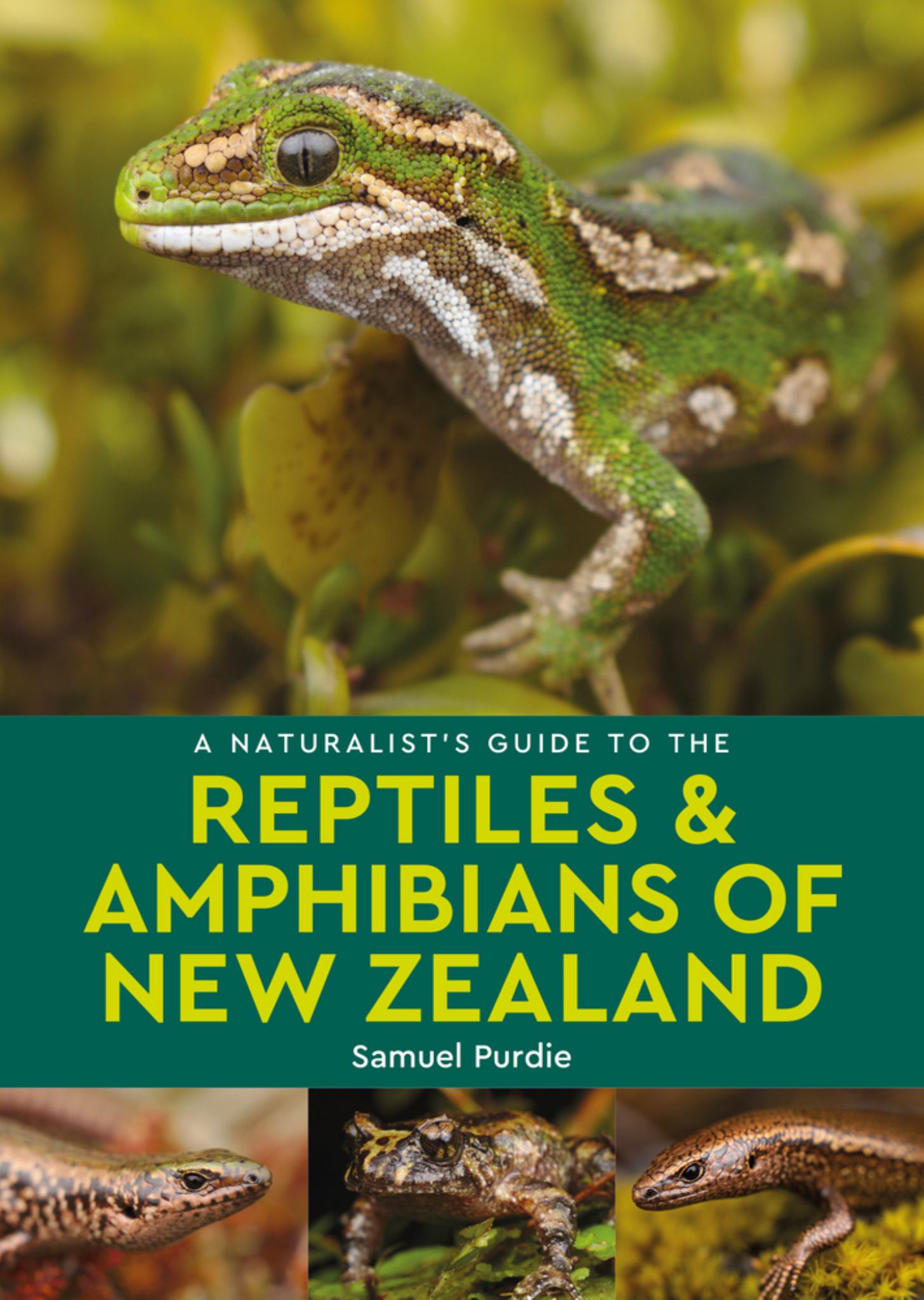 A Naturalist's Guide to the Reptiles and Amphibians of New Zealand Cover Image