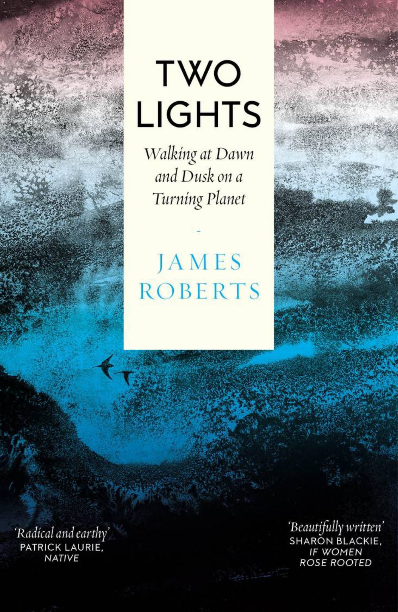 Two Lights Cover Image