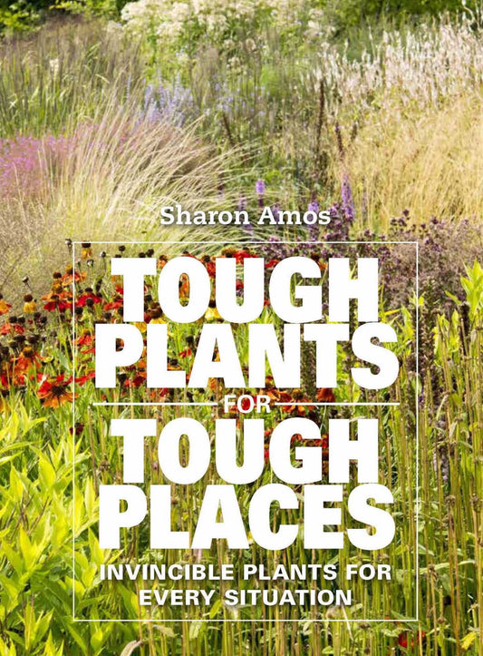 Tough Plants for Tough Places Cover Image