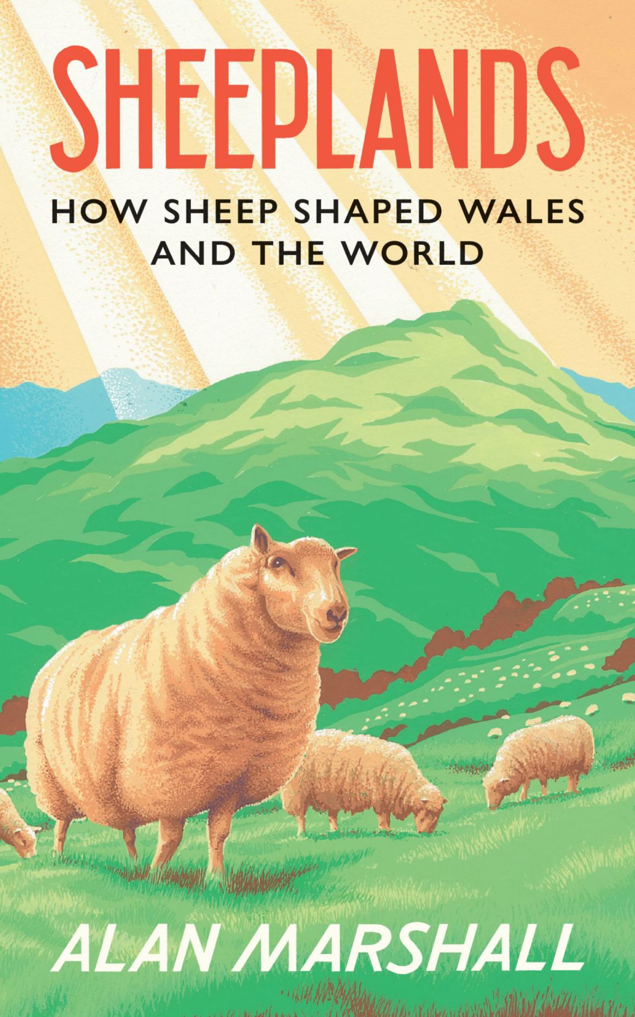 Sheeplands Cover Image