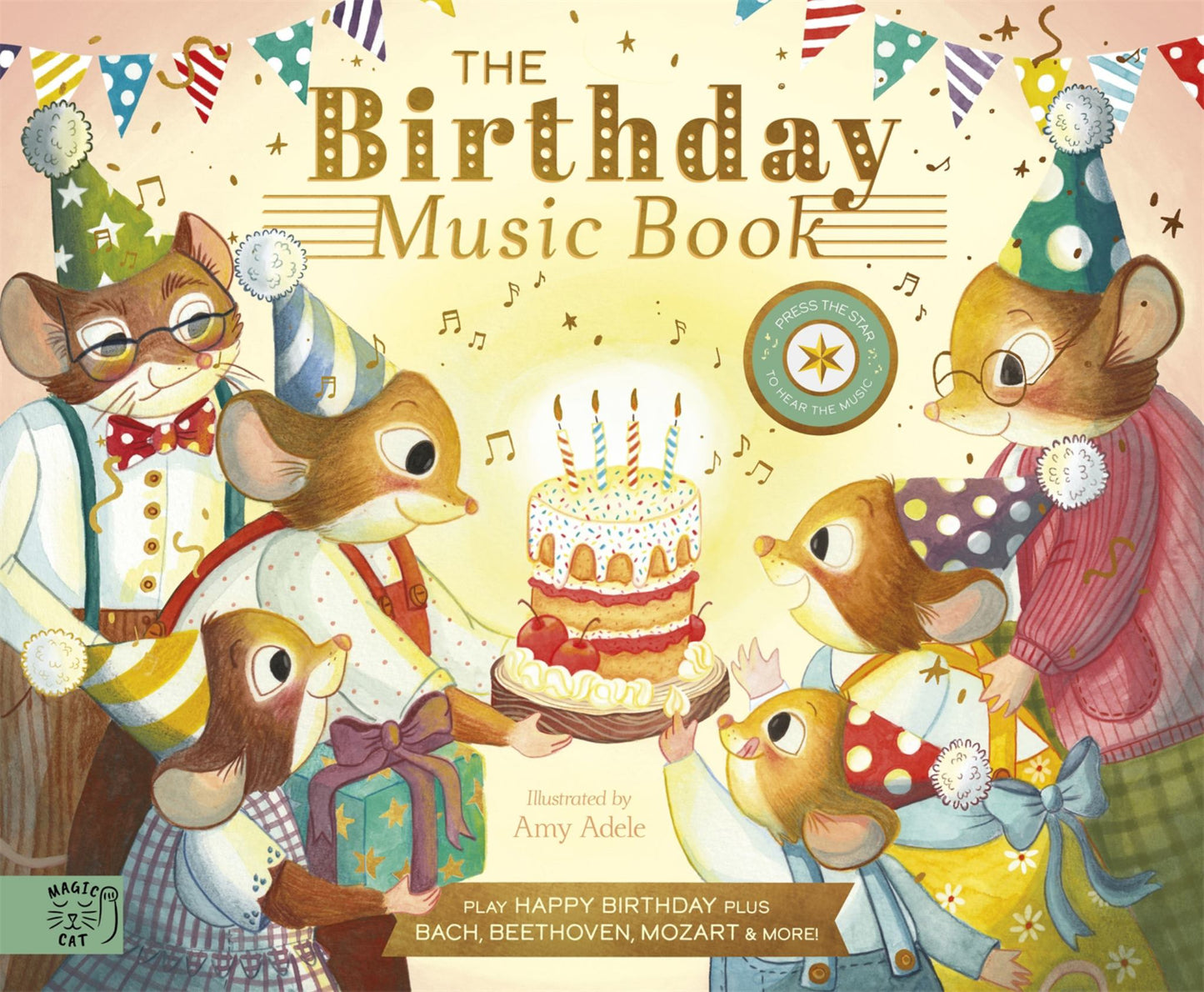 The Birthday Music Book Cover Image