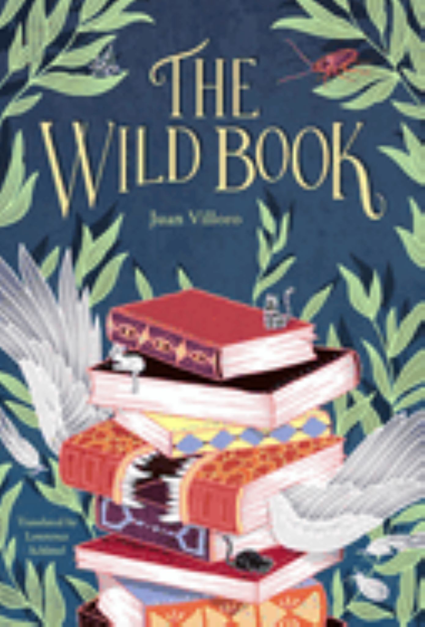 The Wild Book Cover Image