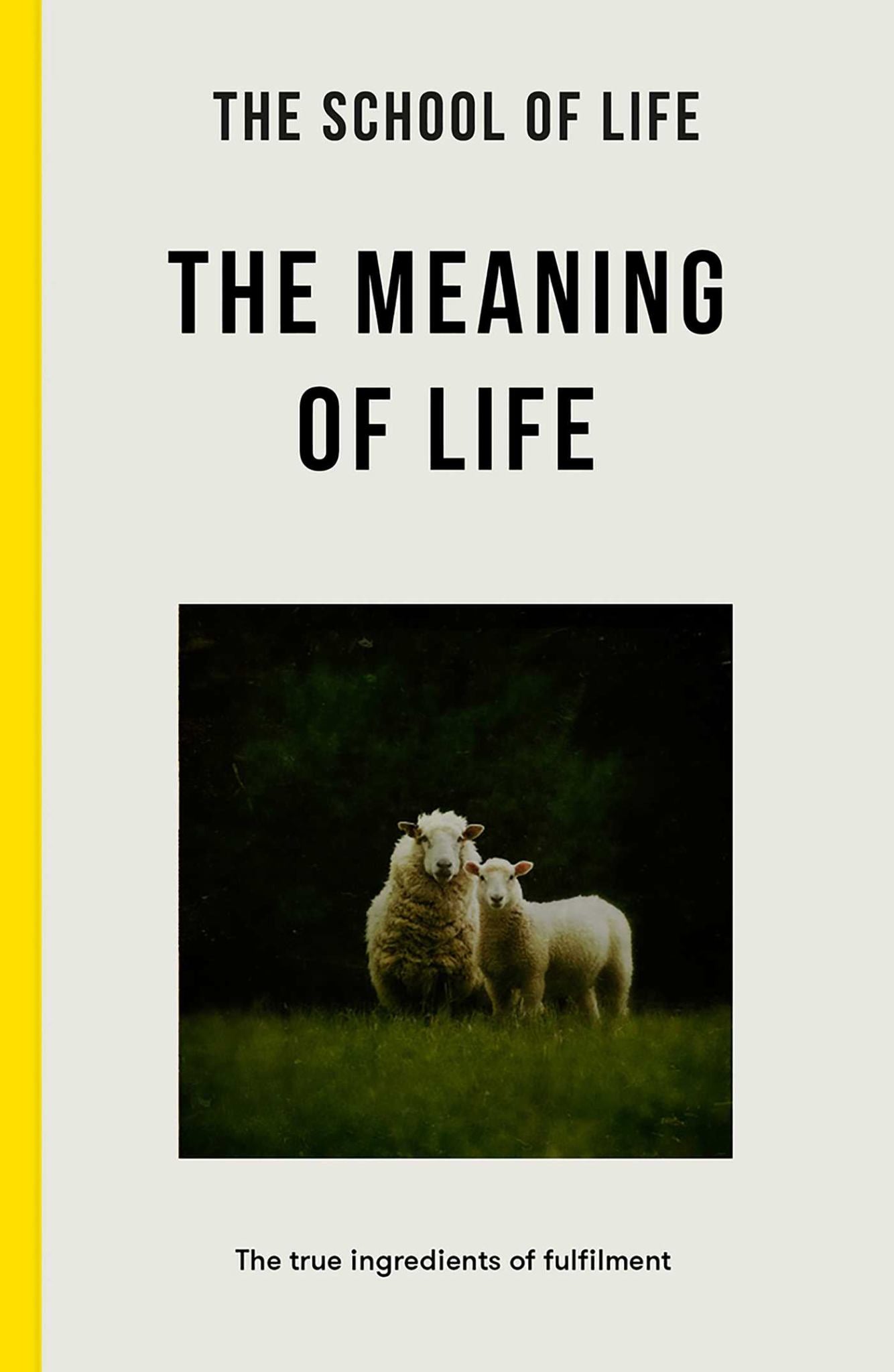 The Meaning of Life Cover Image