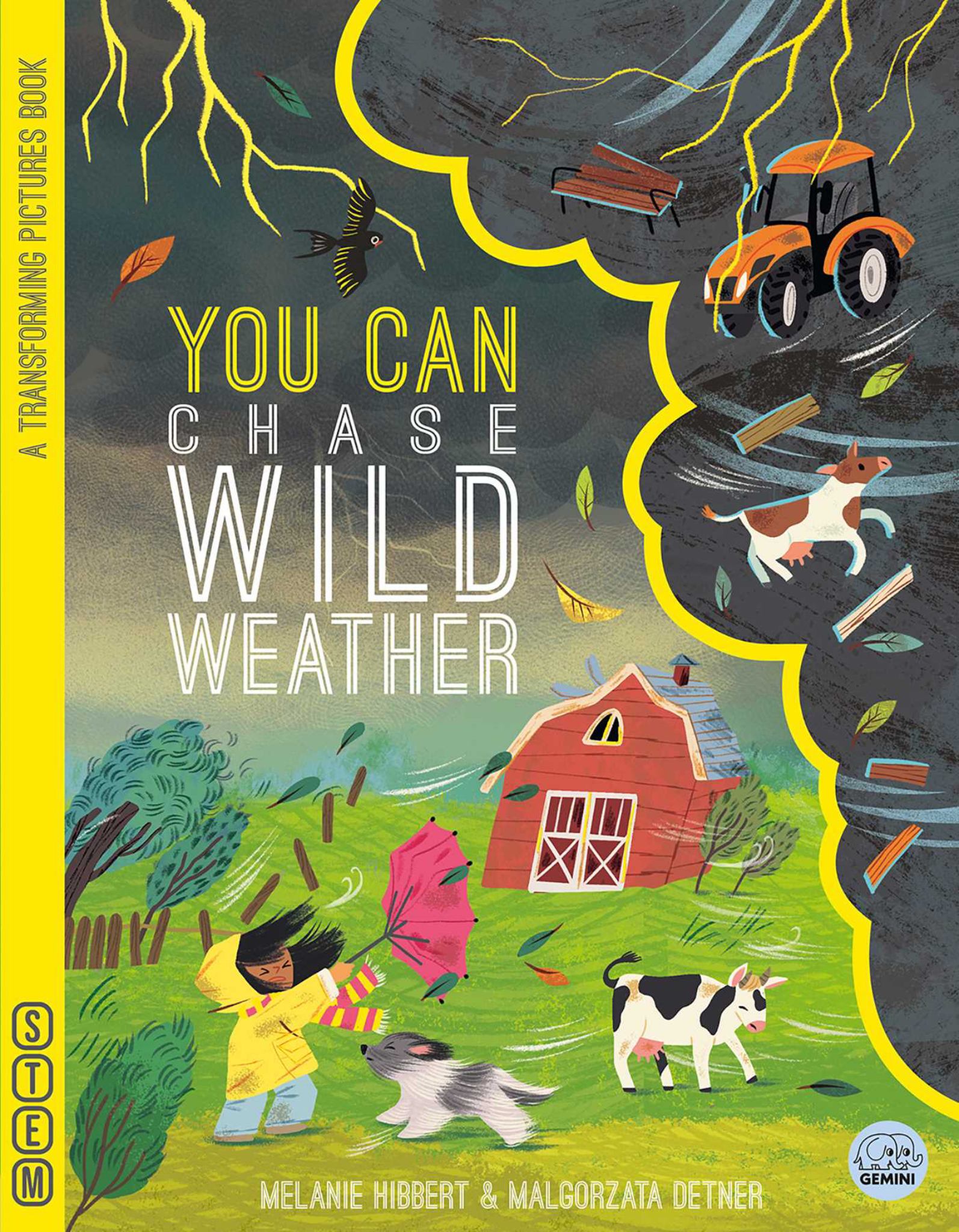YOU CAN Chase Wild Weather Cover Image