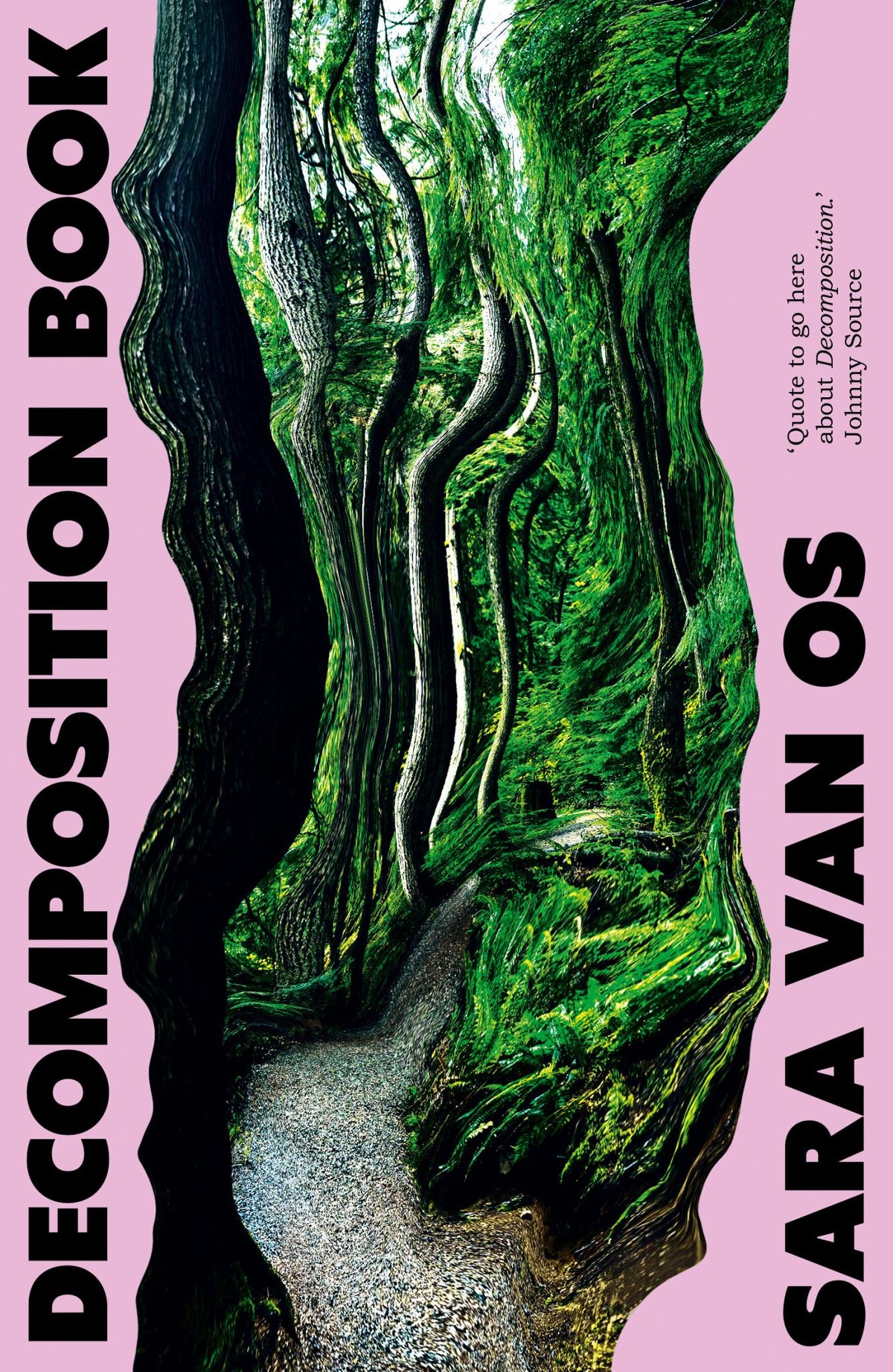 Decomposition Book Cover Image