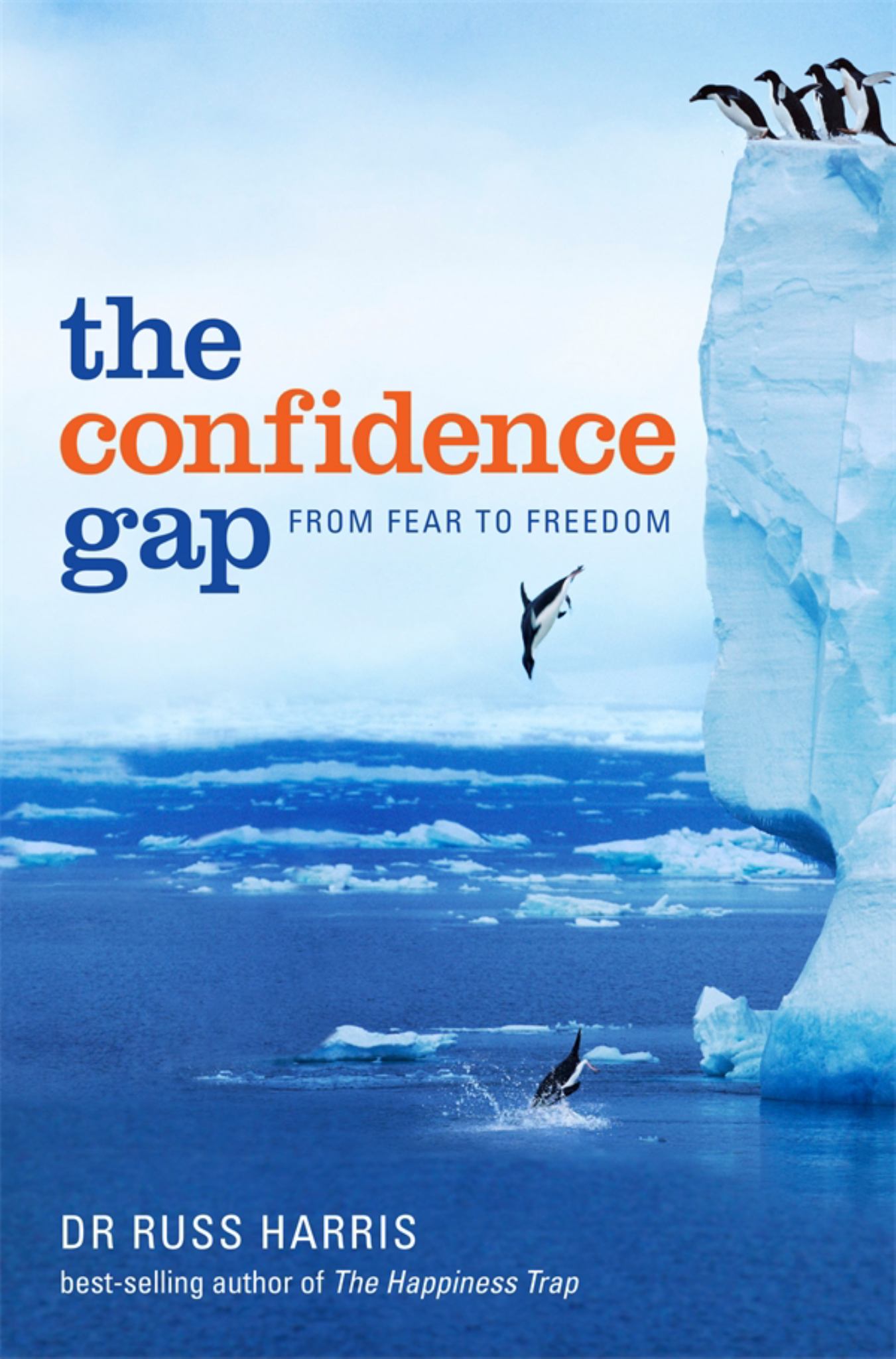 The Confidence Gap Cover Image