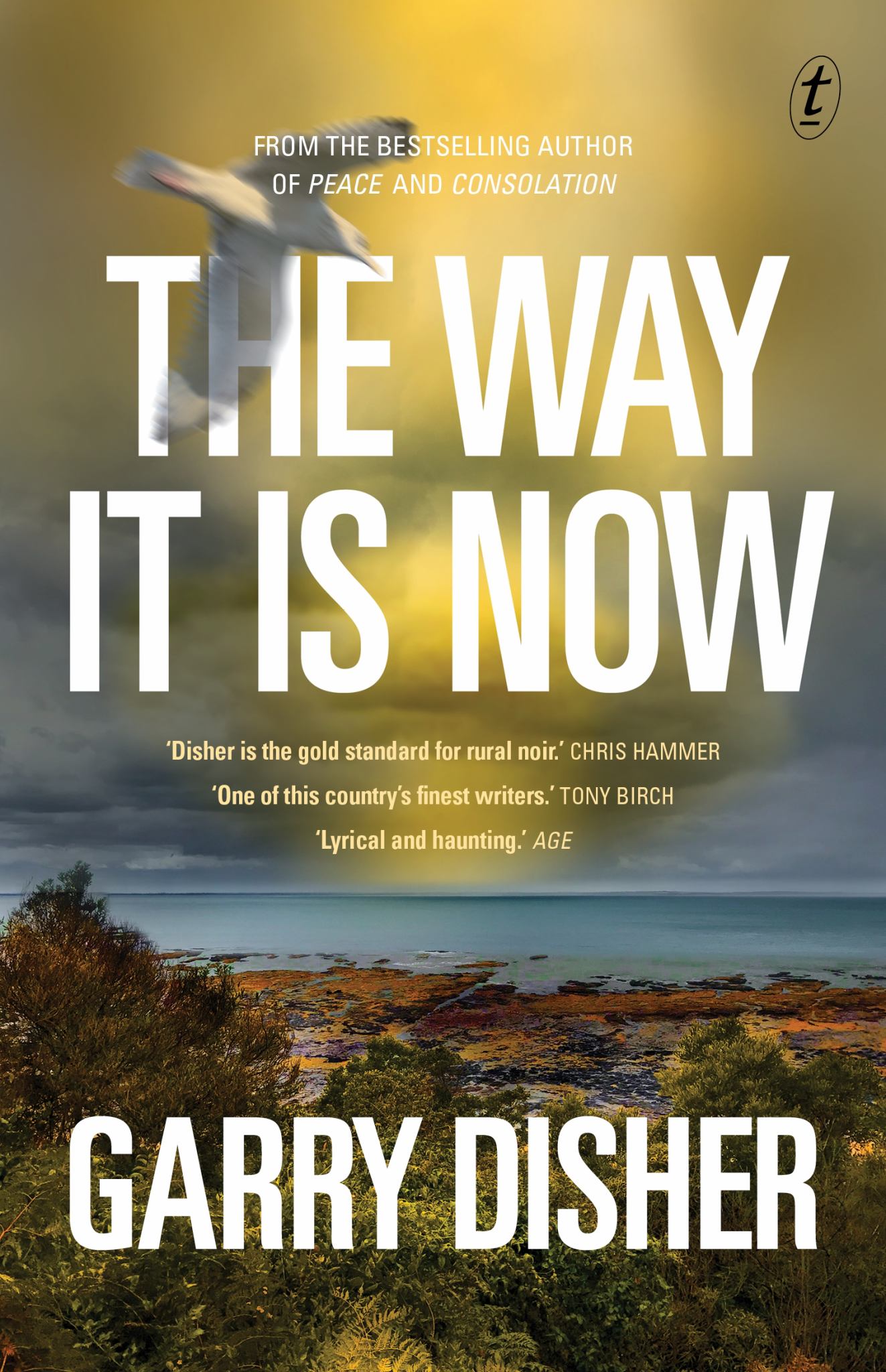 The Way It Is Now Cover Image