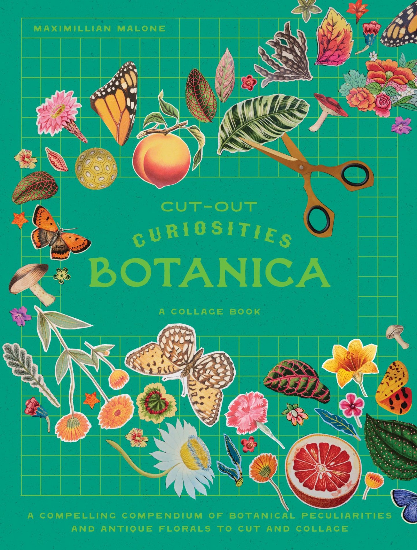 Cut-Out Curiosities Botanica: a Collage Book Cover Image