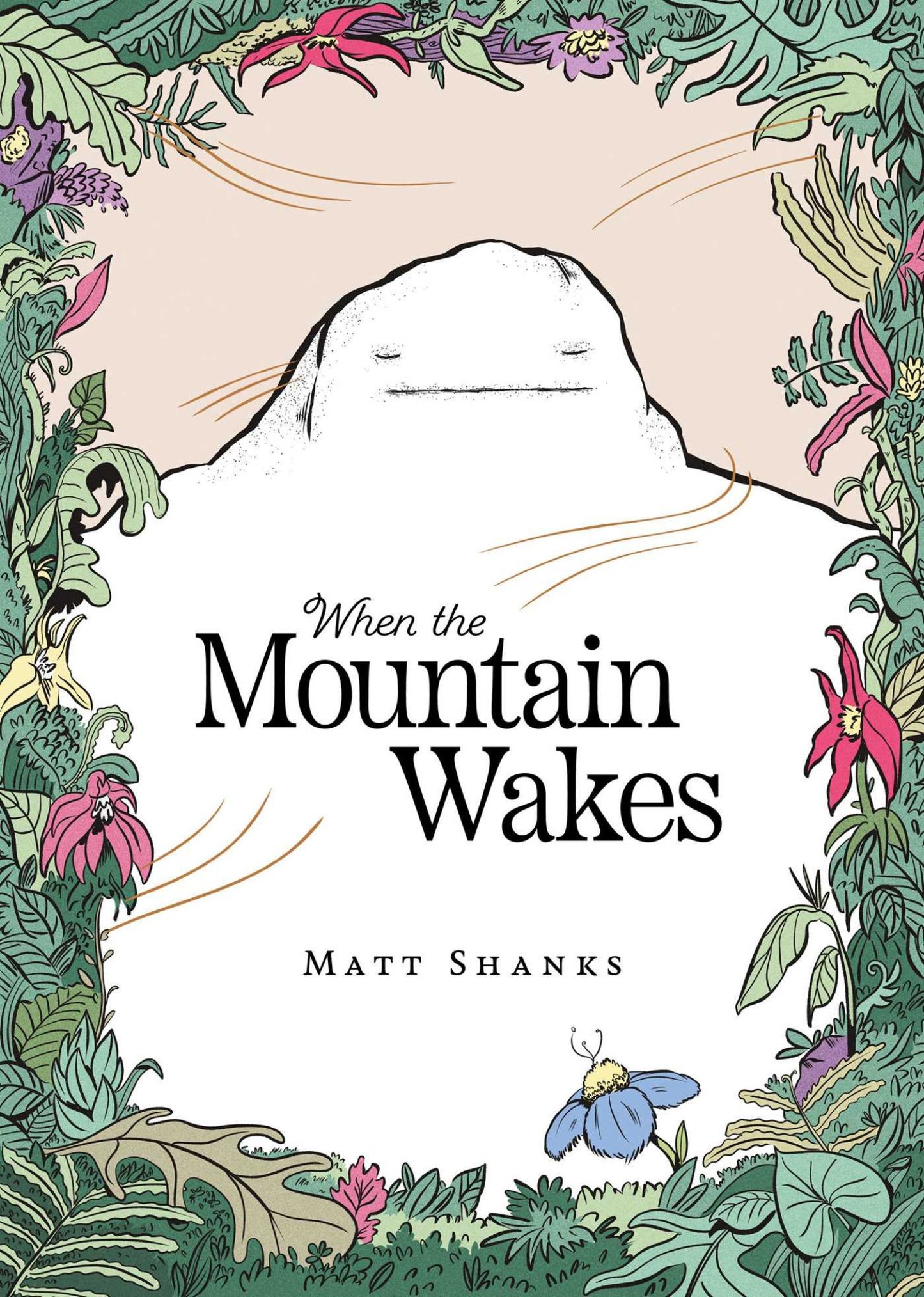When the Mountain Wakes Cover Image