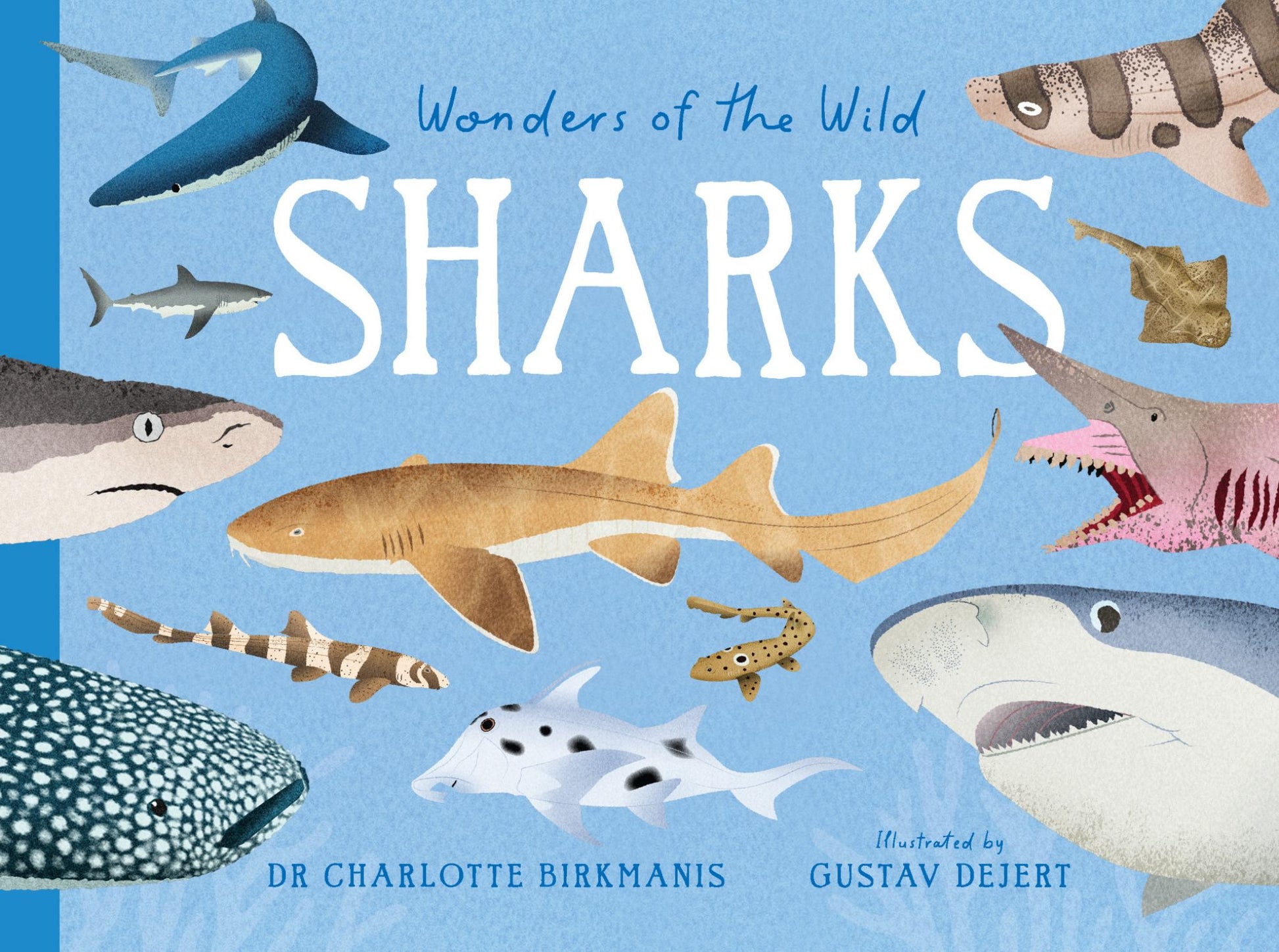 Wonders of the Wild: Sharks Cover Image