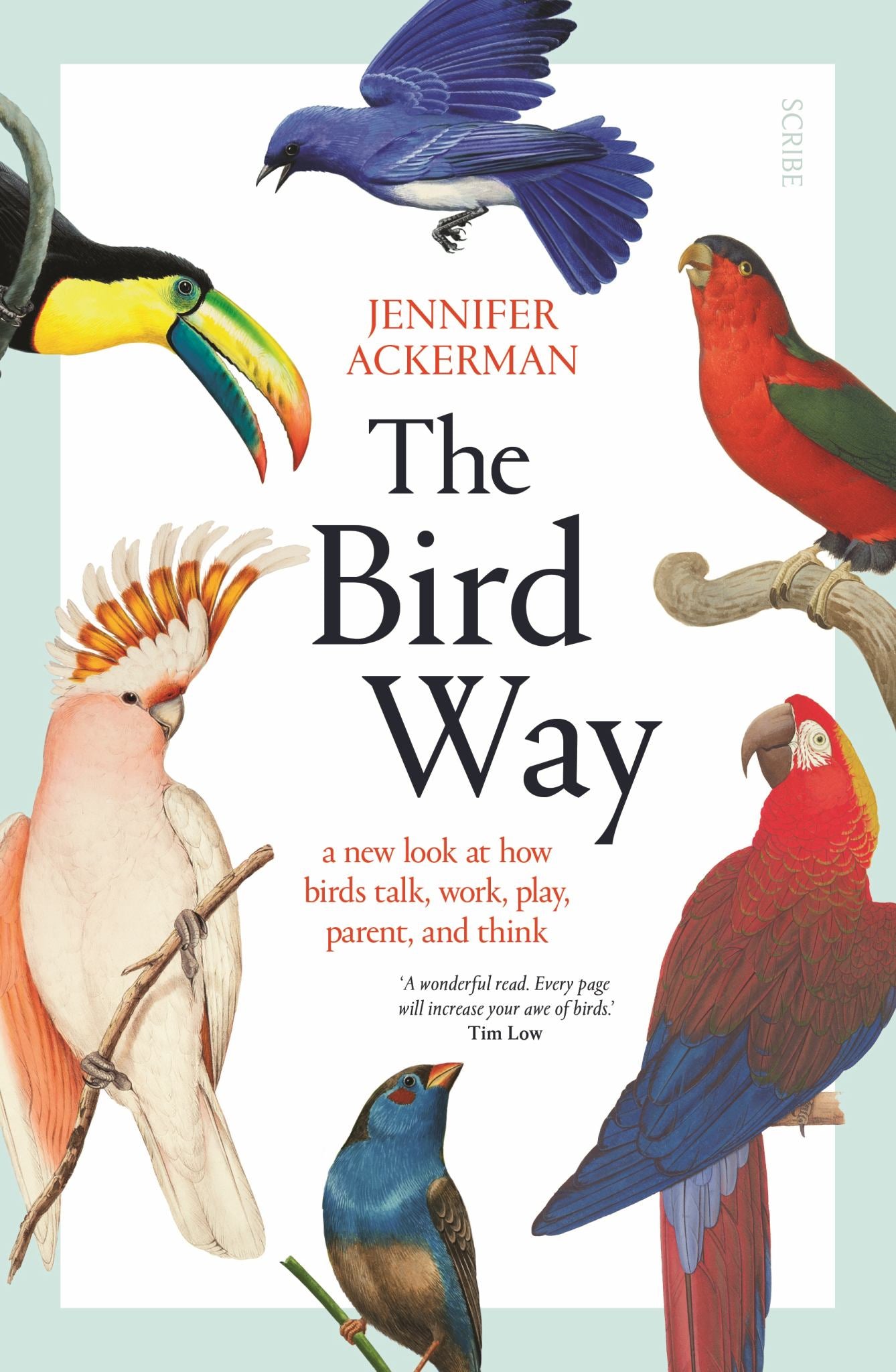 The Bird Way Cover Image