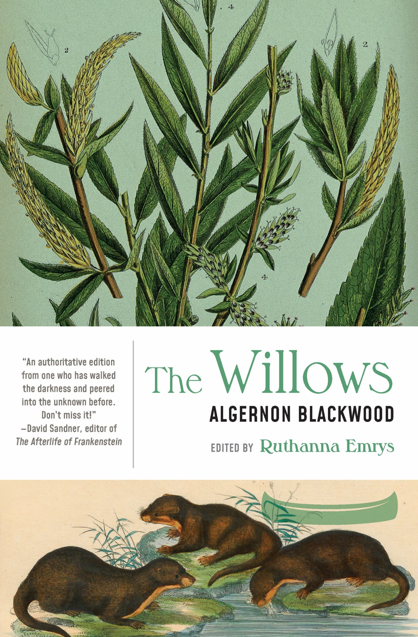 The Willows Cover Image