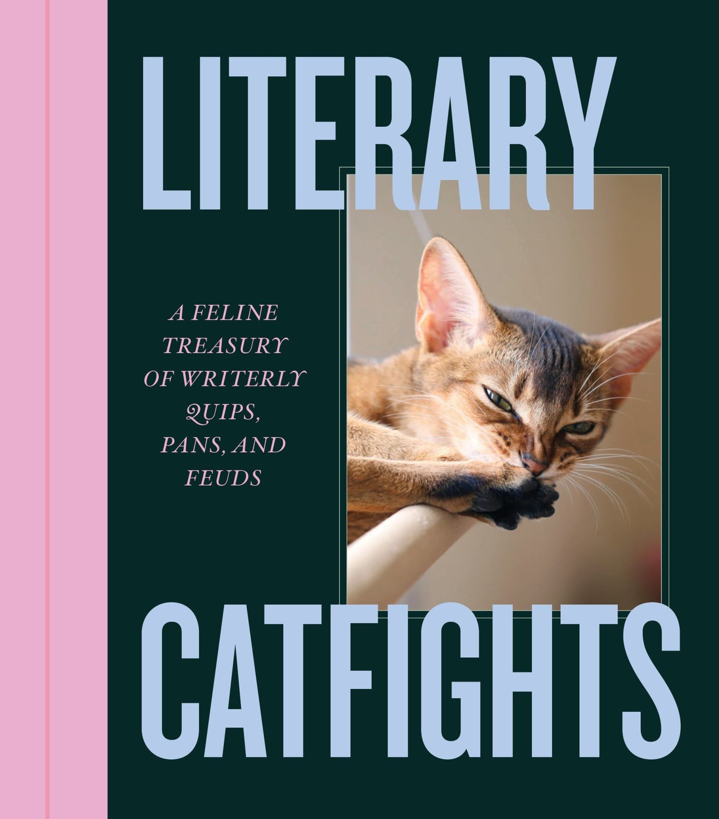 Literary Catfights Cover Image