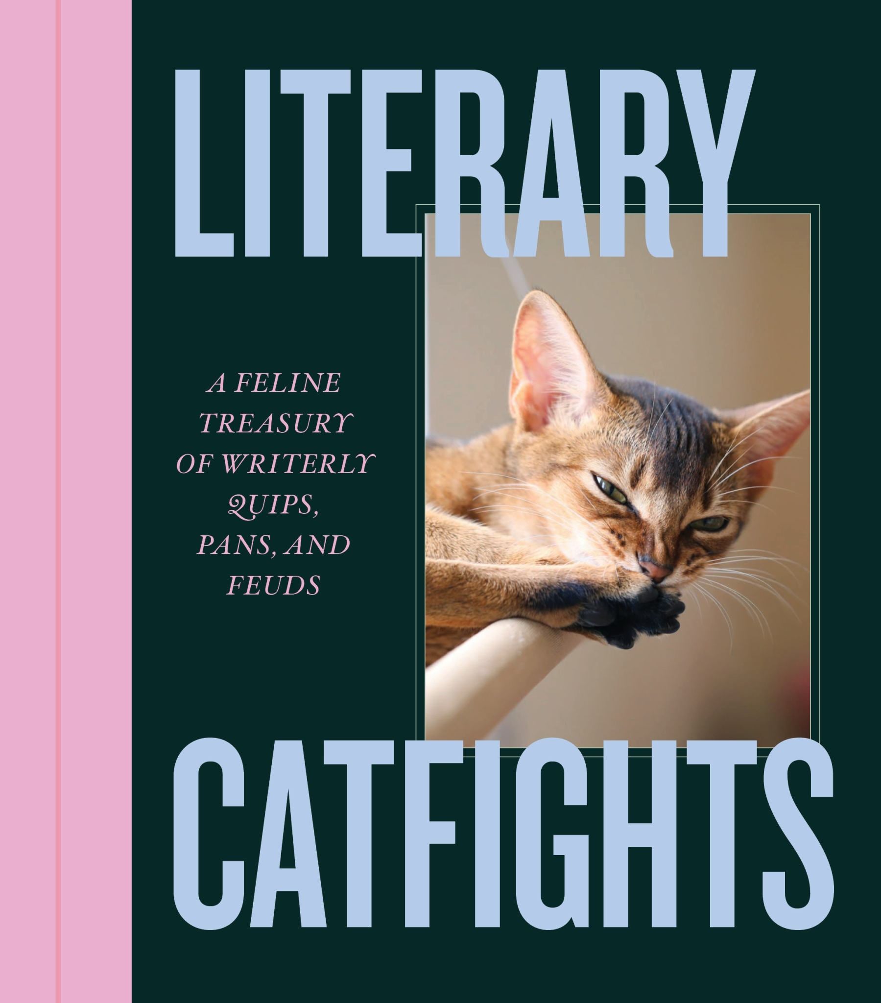 Literary Catfights Cover Image