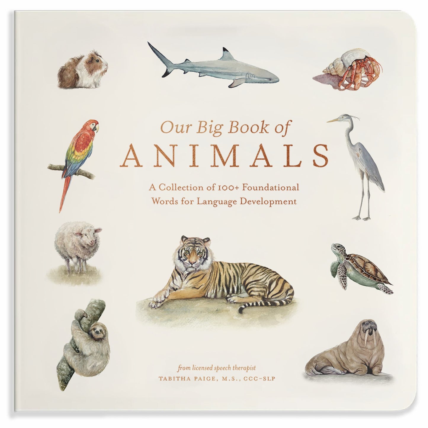 Our Big Book of Animals Cover Image