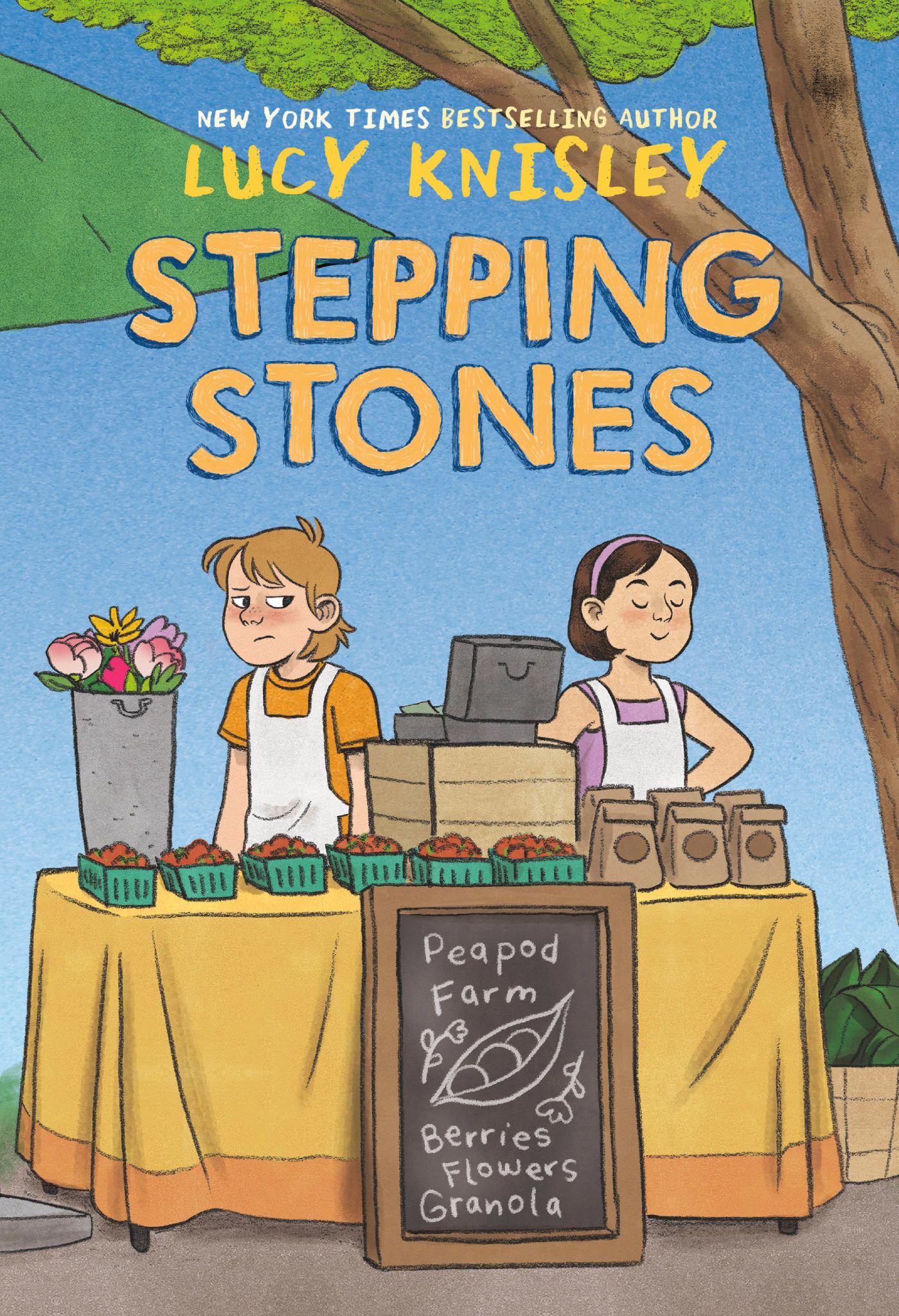 Stepping Stones Cover Image