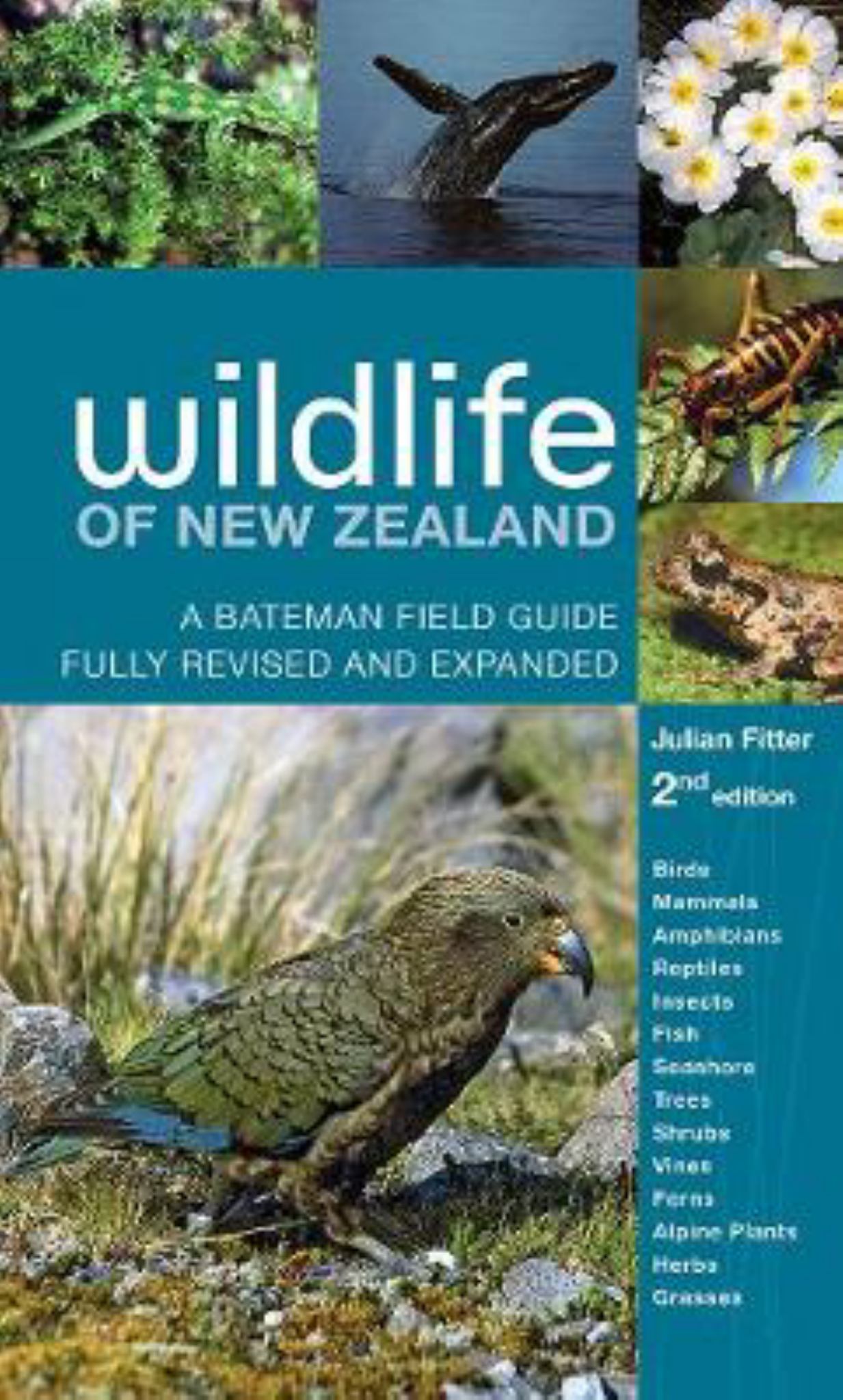 Wildlife of New Zealand Cover Image