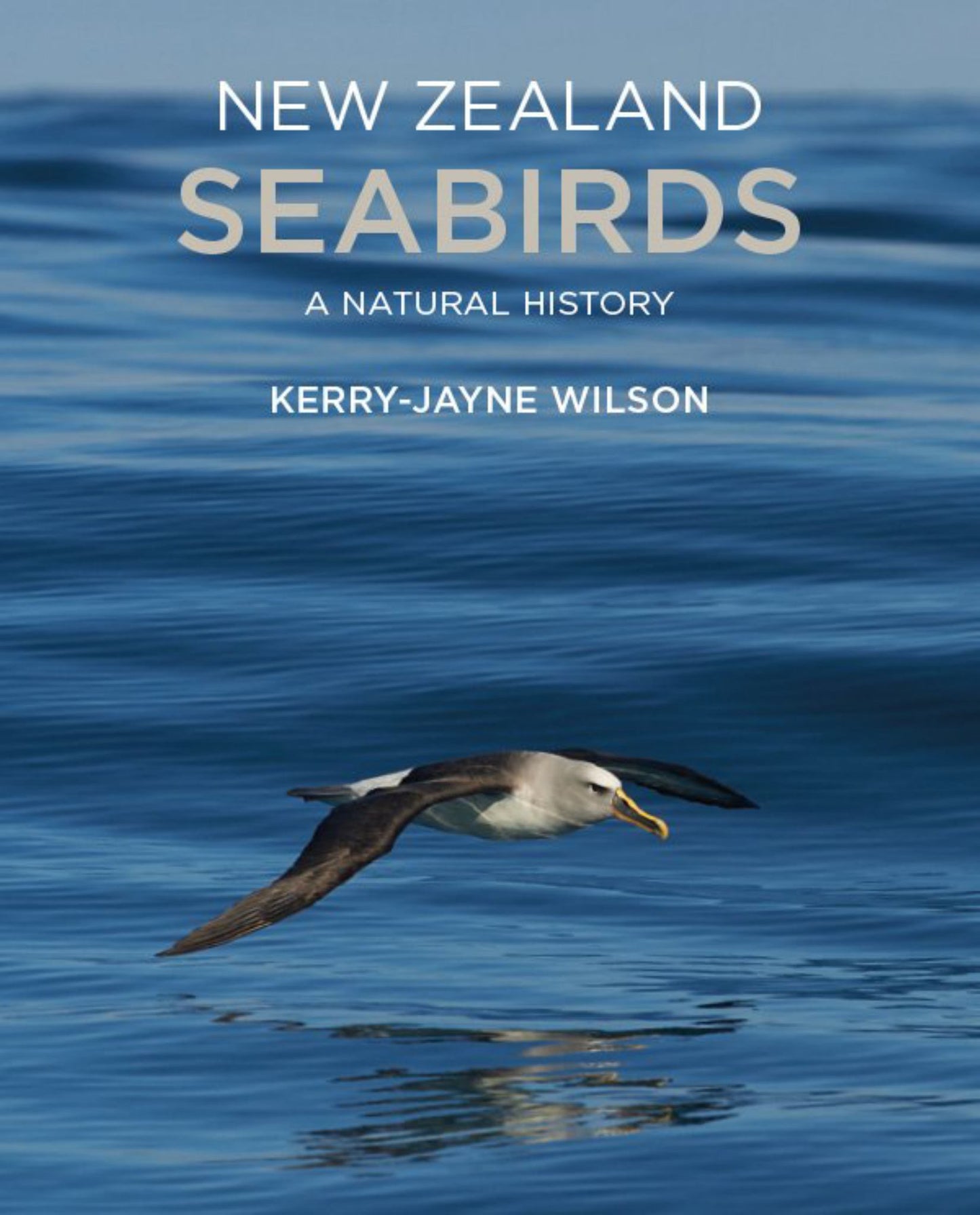New Zealand Seabirds Cover Image