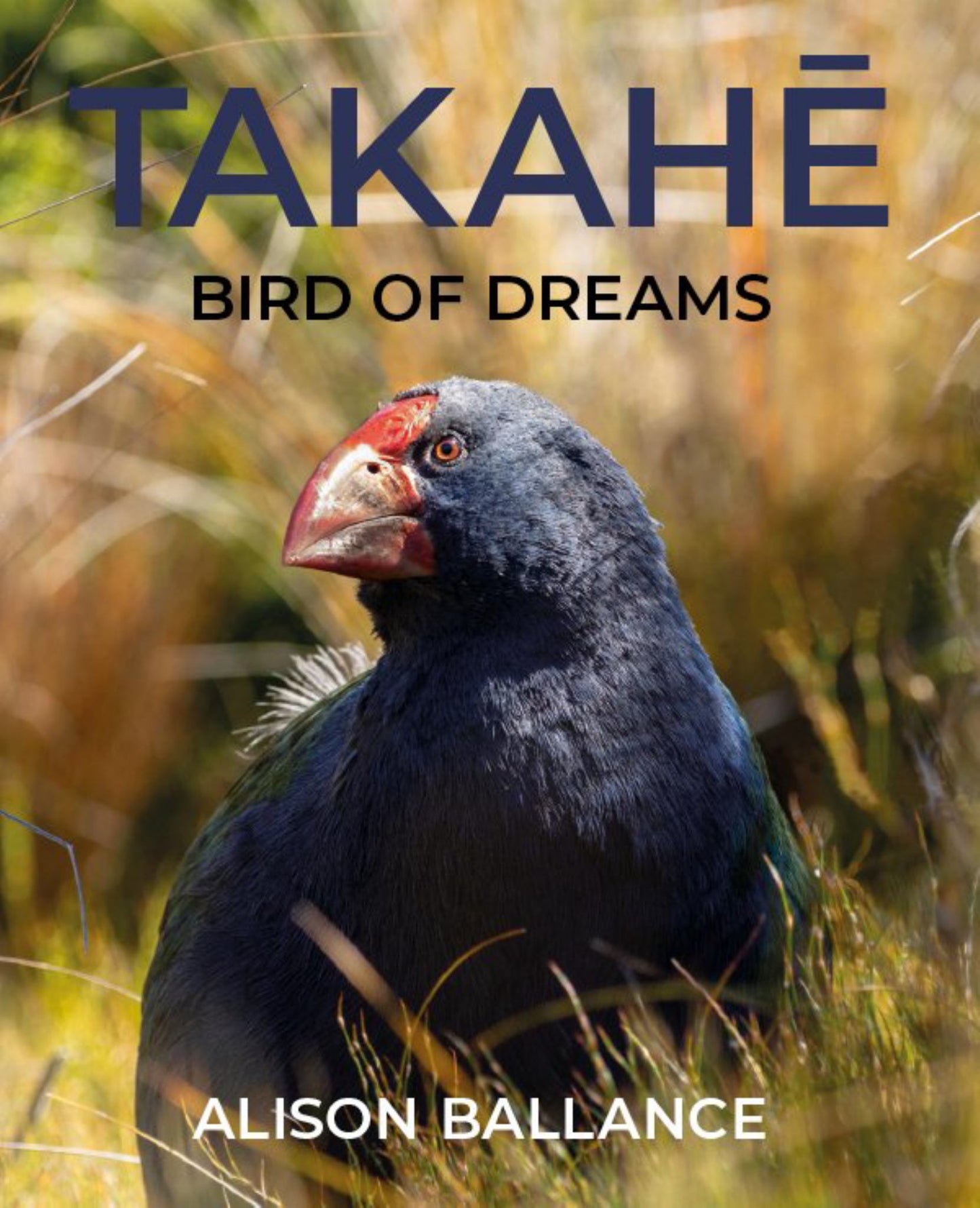 Takah Cover Image