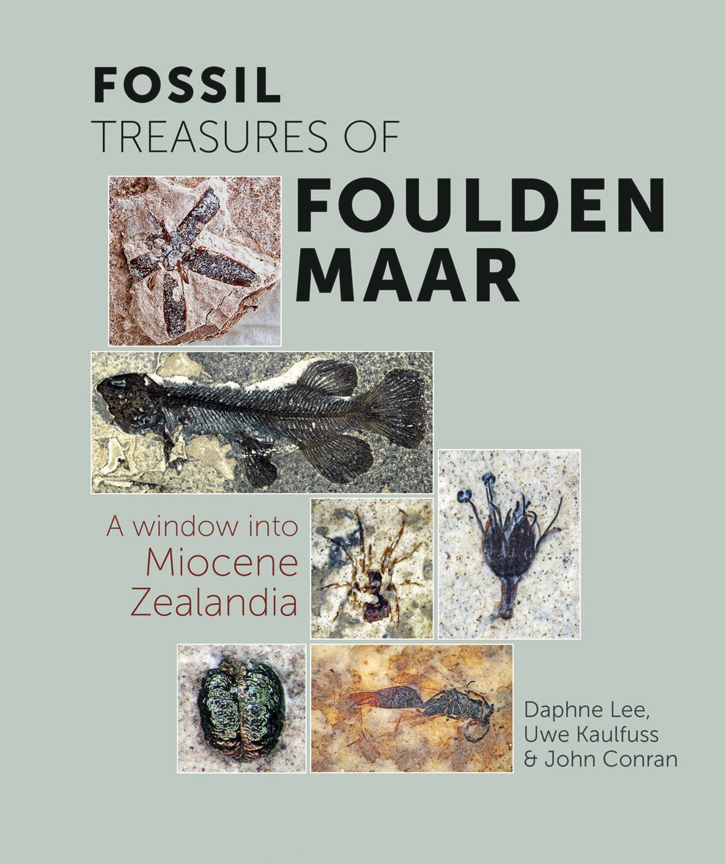 Fossil Treasures of Foulden Maar Cover Image