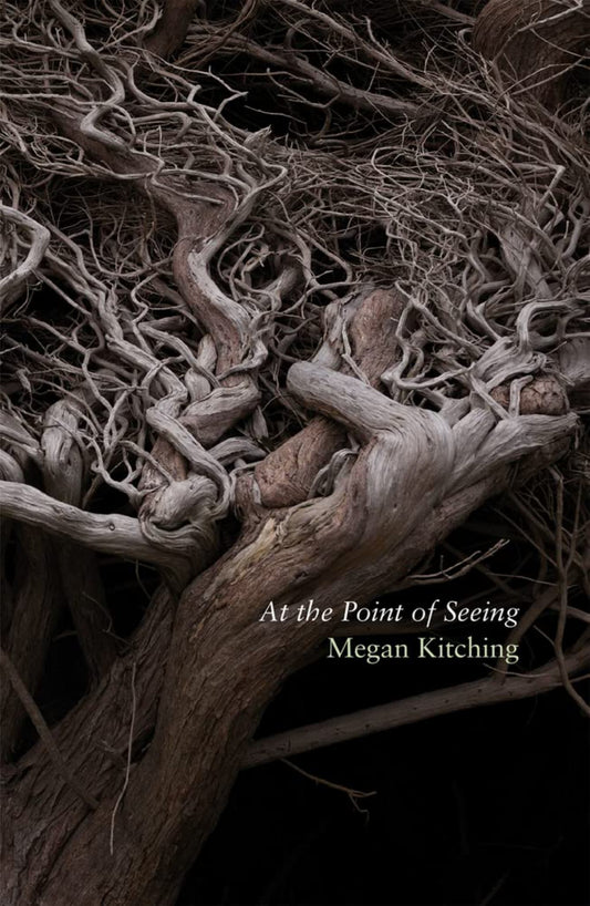 At the Point of Seeing Cover Image