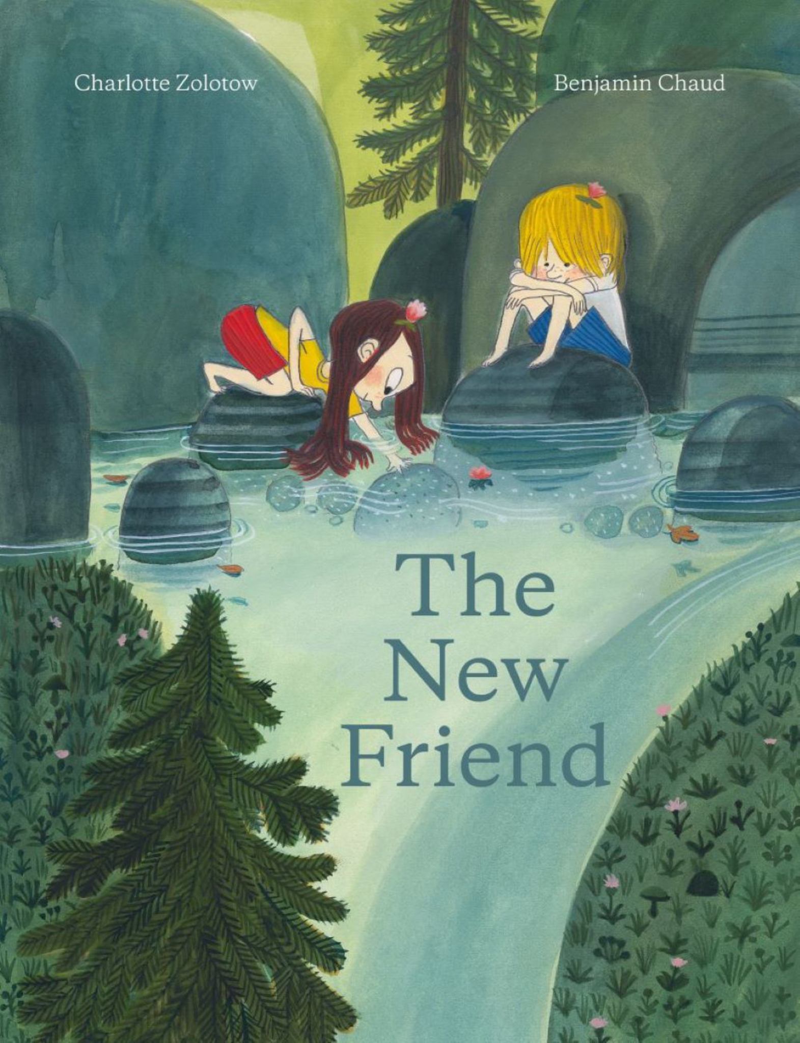 The New Friend Cover Image