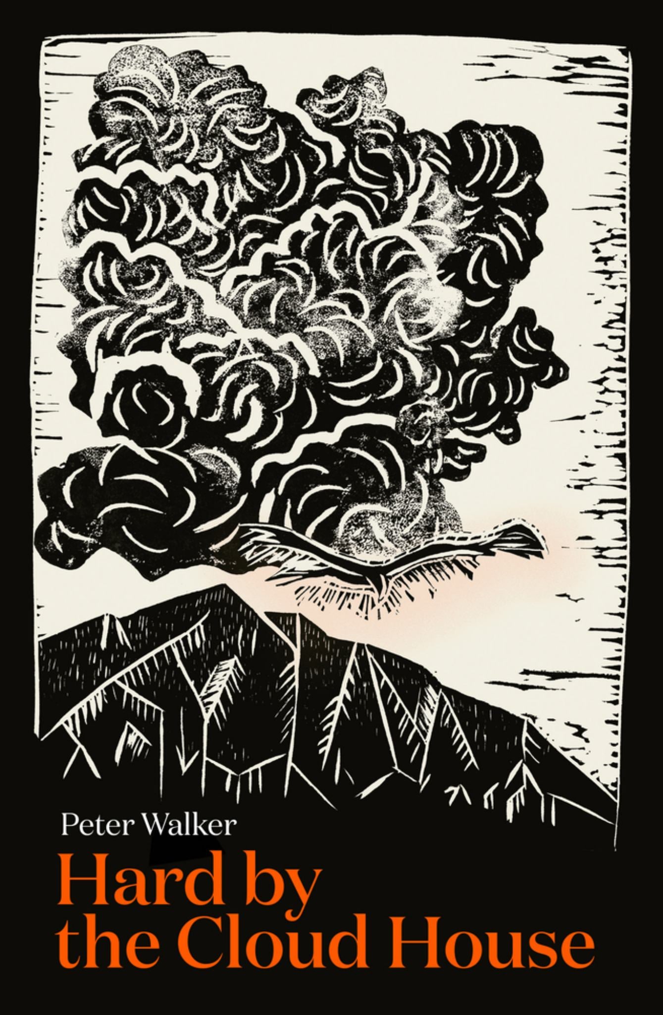 Hard by the Cloud House Cover Image