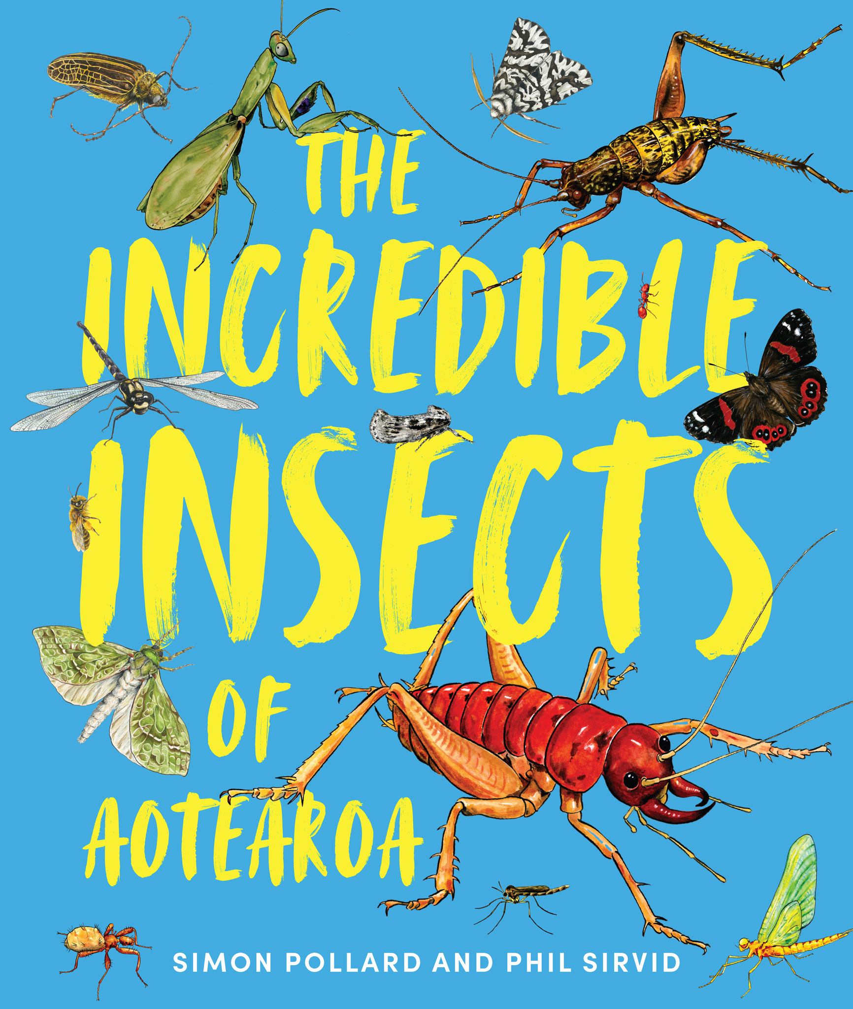The Incredible Insects of Aotearoa Cover Image